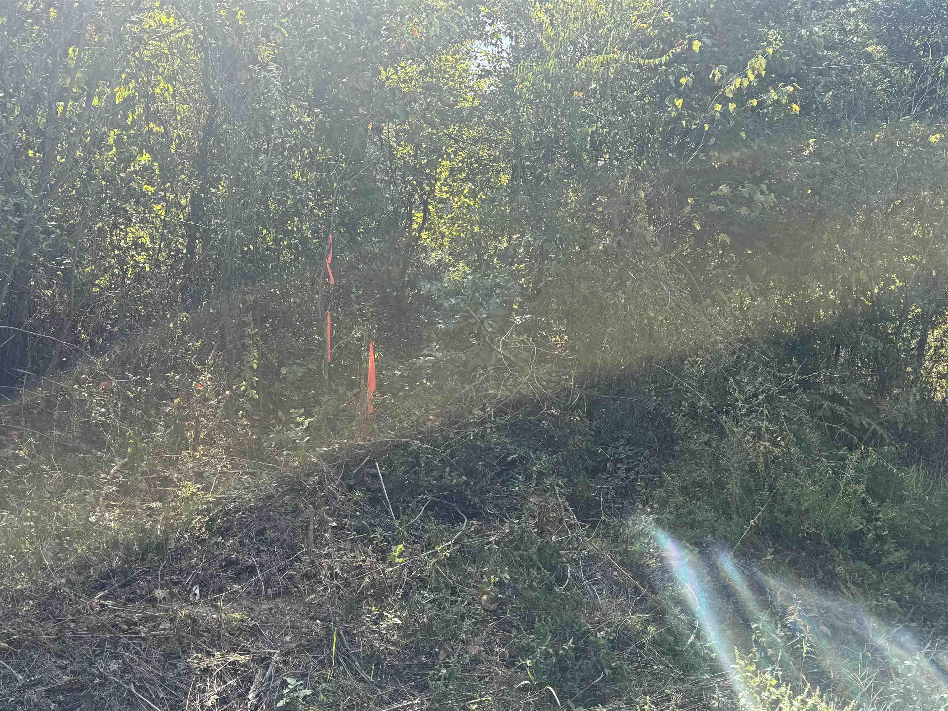 00 MC 7031  Flippin, AR