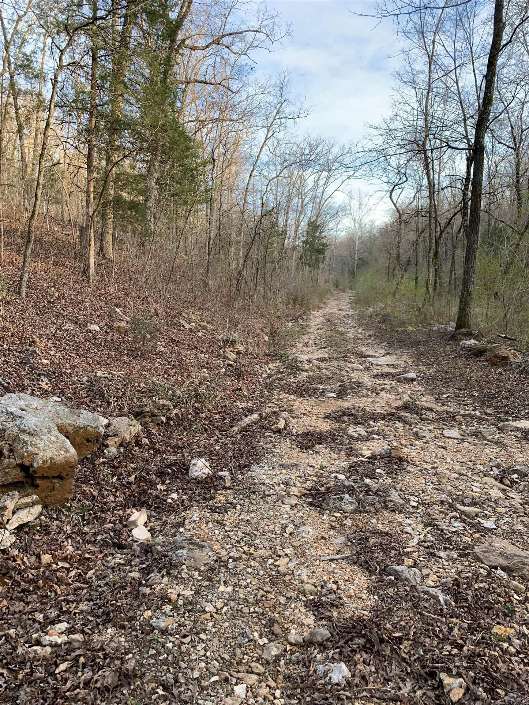 00 MC 7031  Flippin, AR