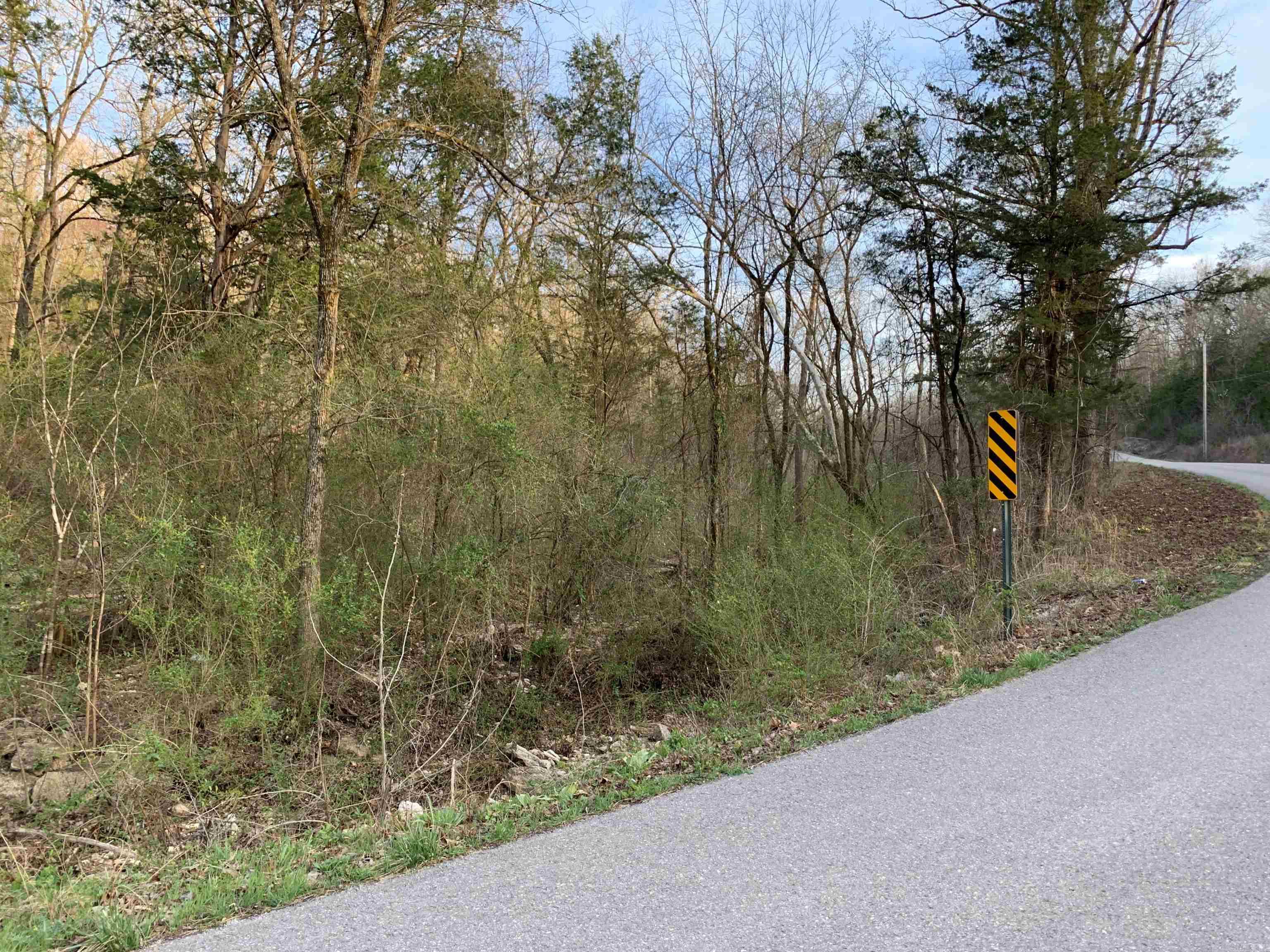 00 MC 7031  Flippin, AR