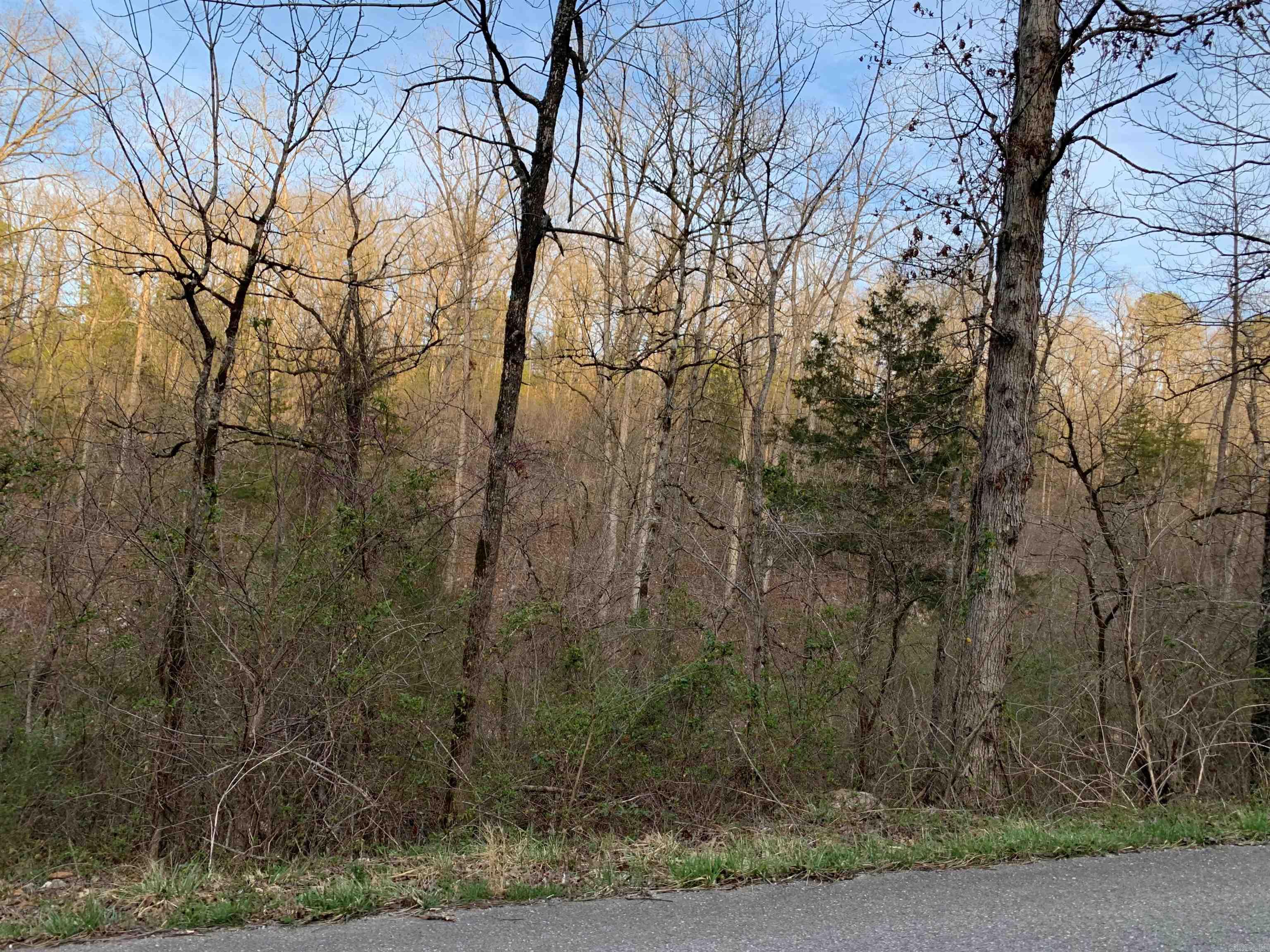 00 MC 7031  Flippin, AR