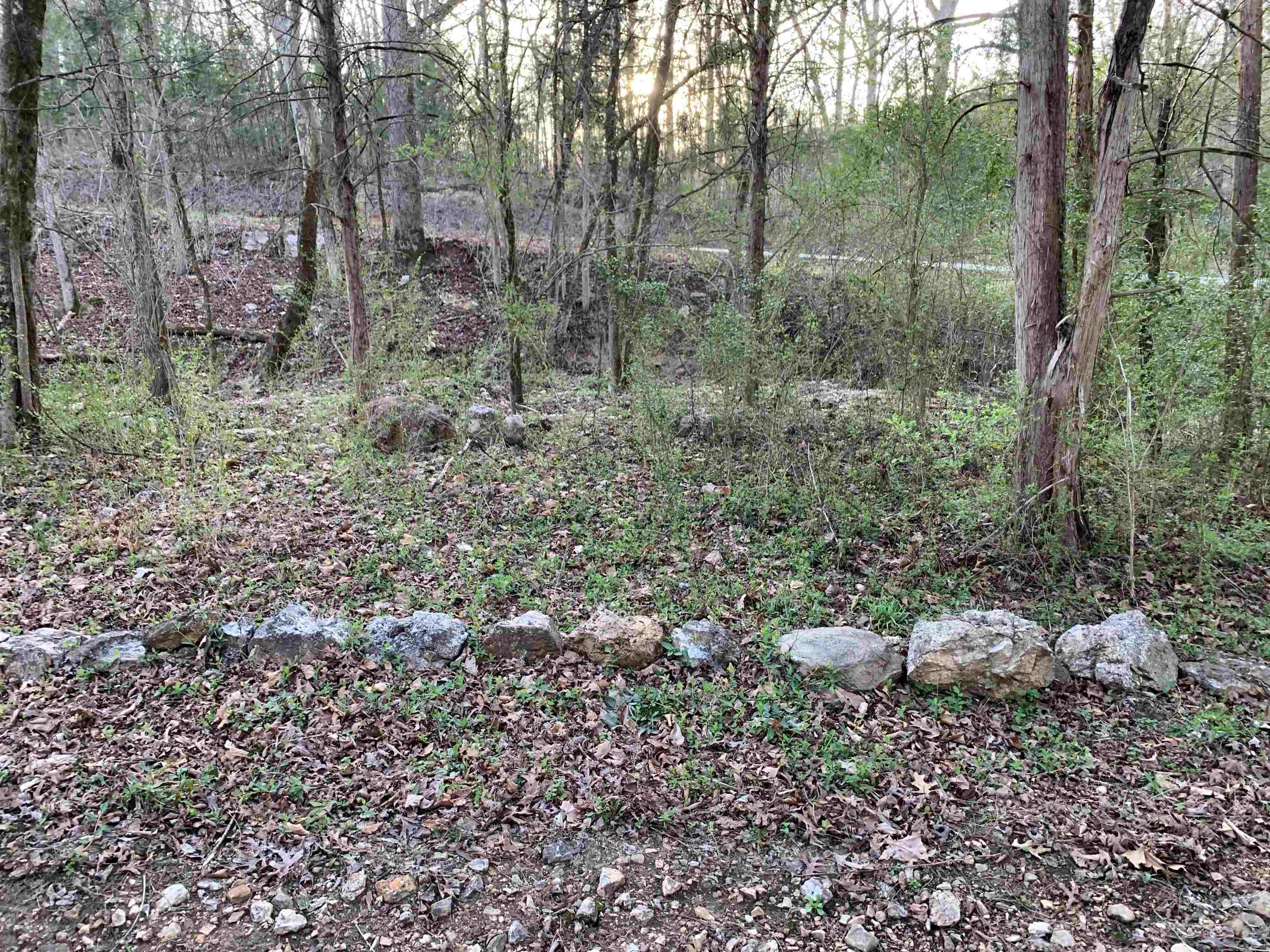 00 MC 7031  Flippin, AR