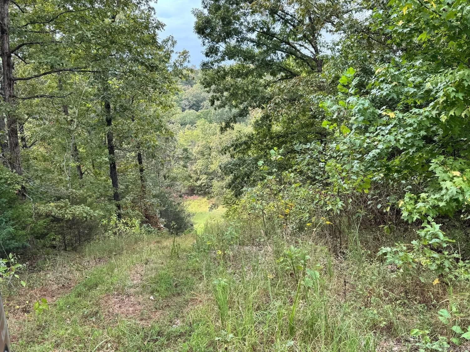 90 Mitchell  Batesville, AR