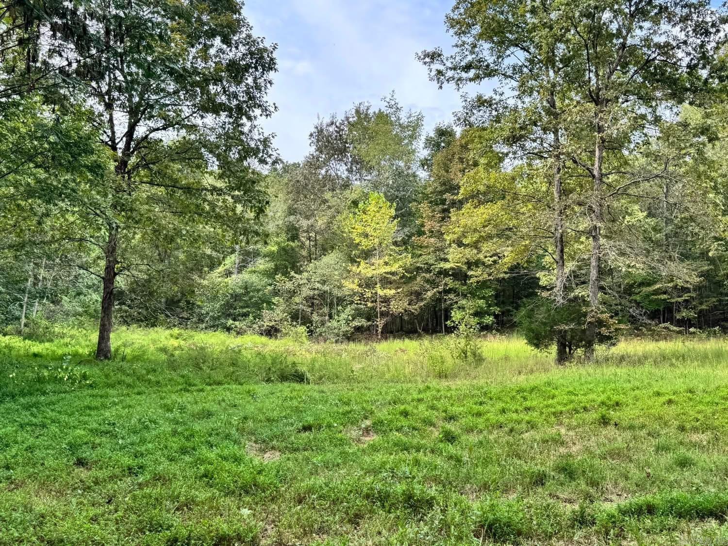 90 Mitchell  Batesville, AR