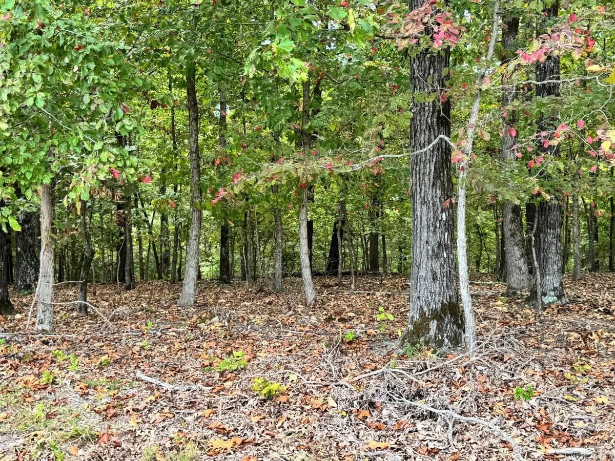 90 Mitchell  Batesville, AR