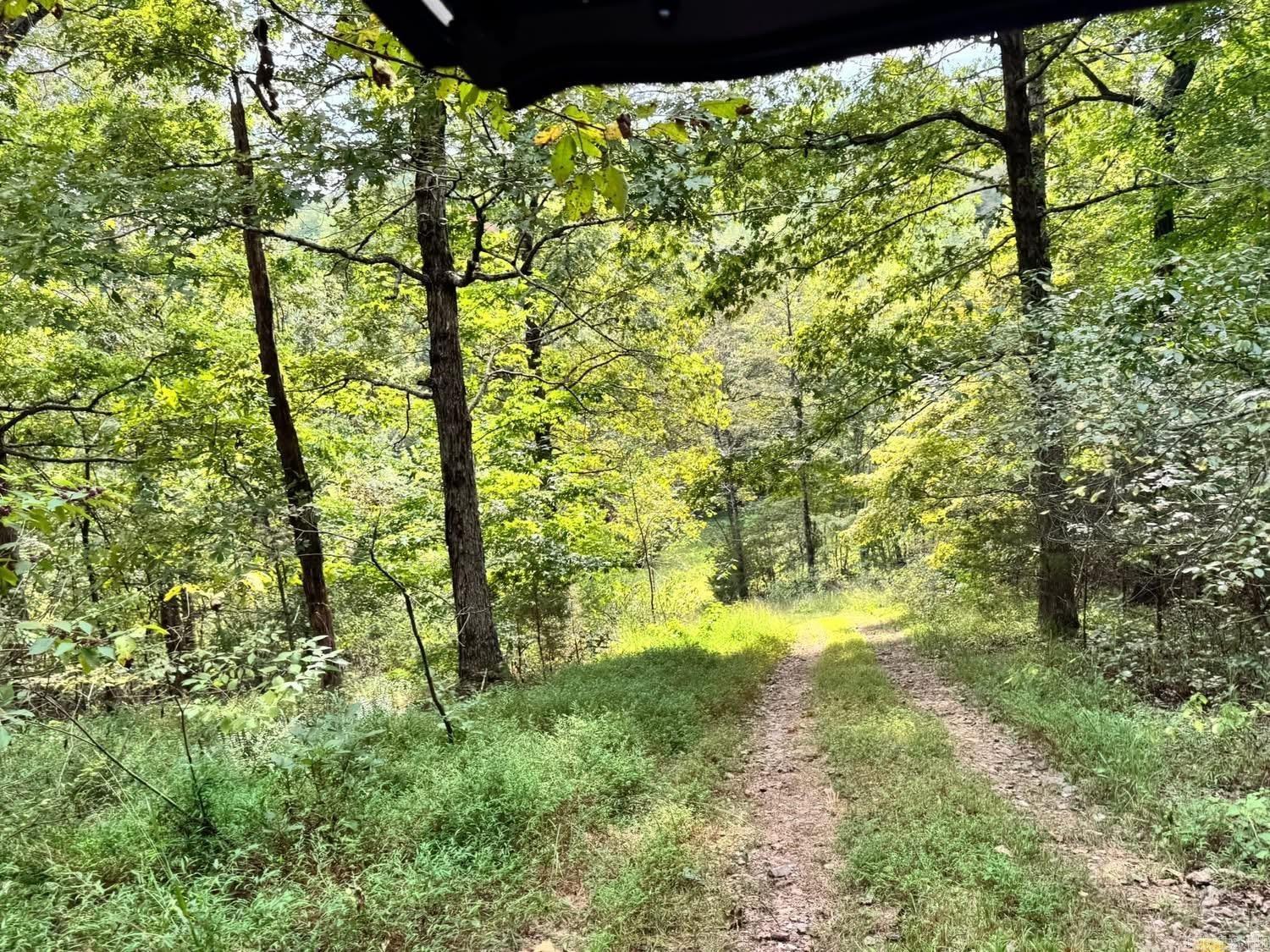 90 Mitchell  Batesville, AR