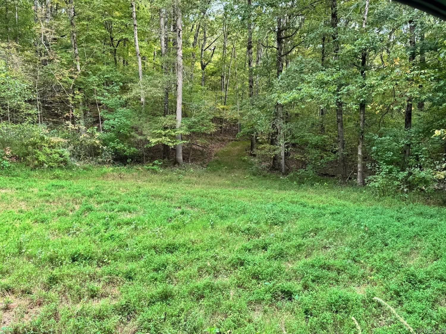 90 Mitchell  Batesville, AR