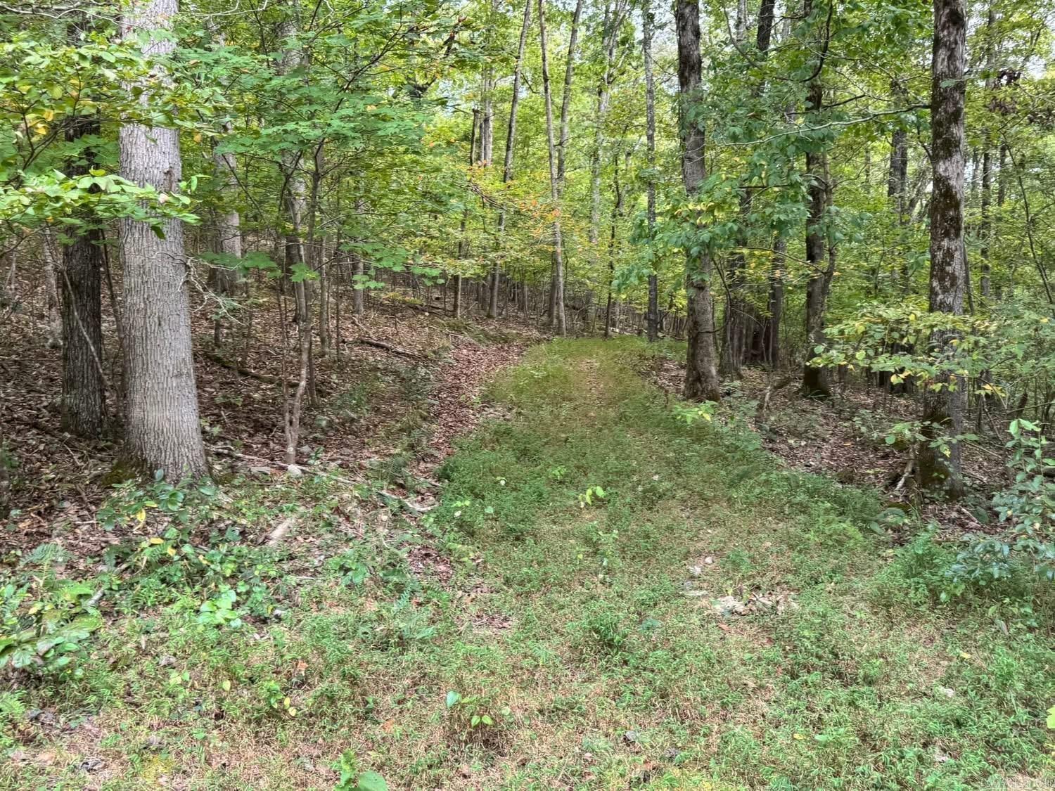 90 Mitchell  Batesville, AR