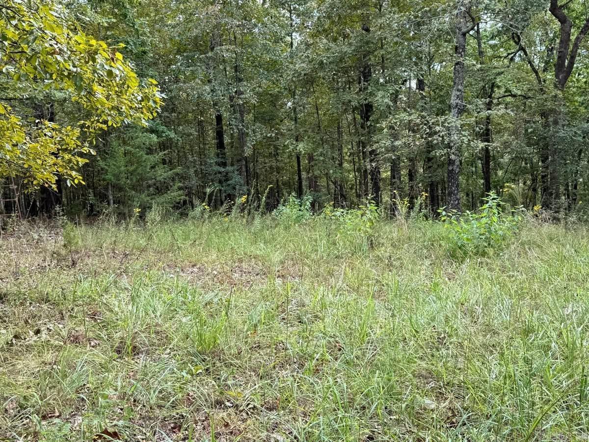 90 Mitchell  Batesville, AR