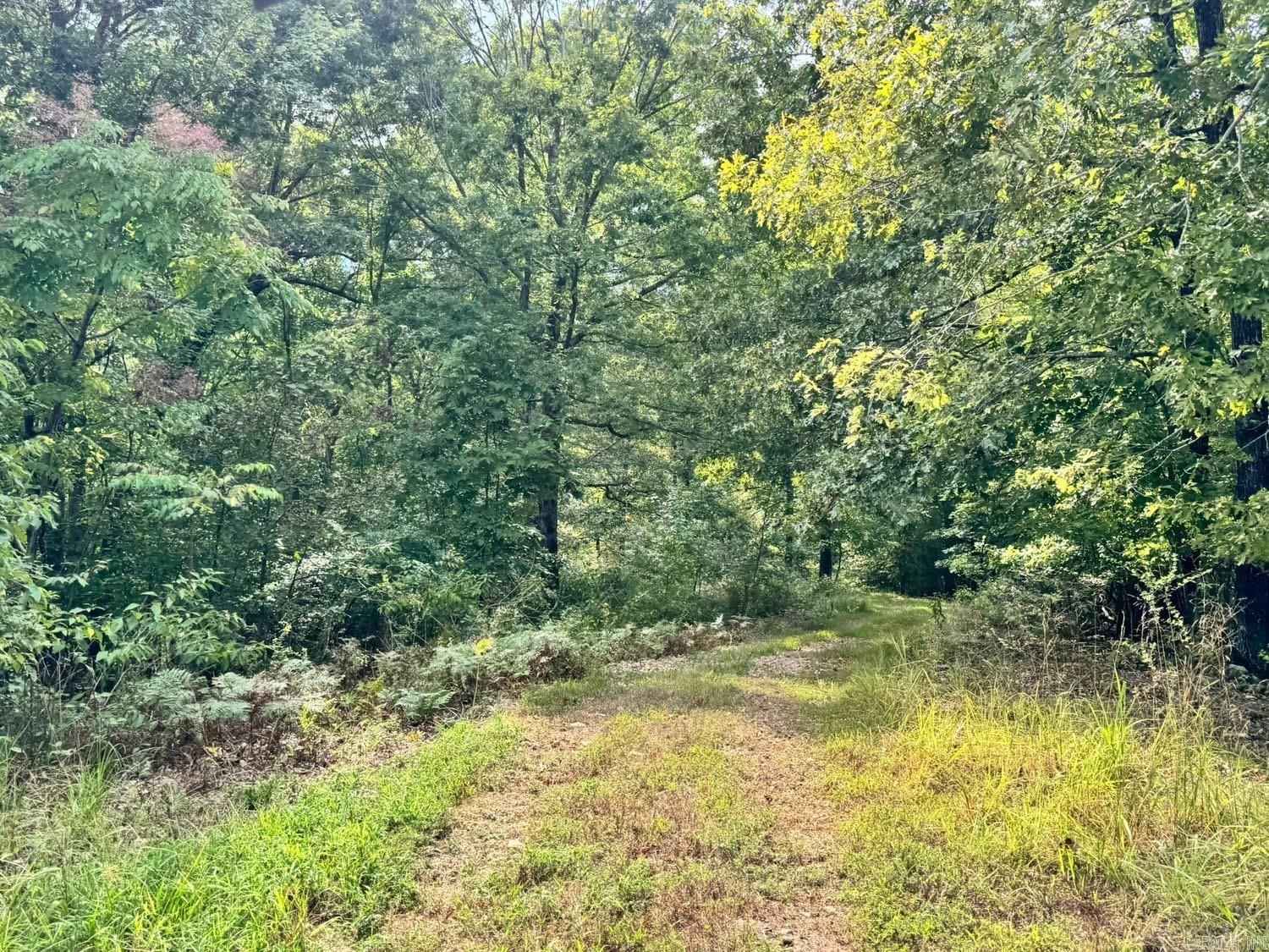 90 Mitchell  Batesville, AR