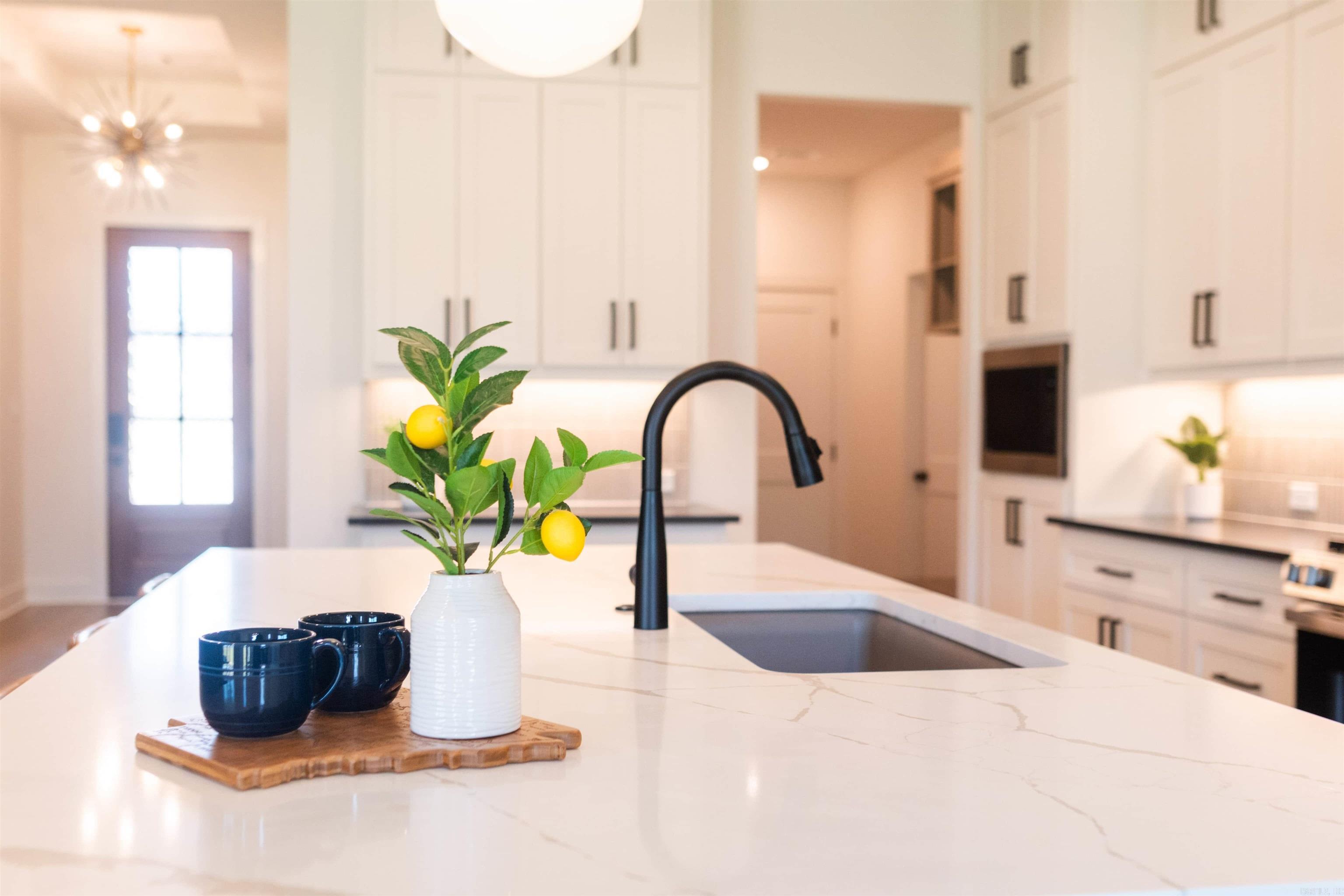 70 Corniche Cove Maumelle, AR 72113