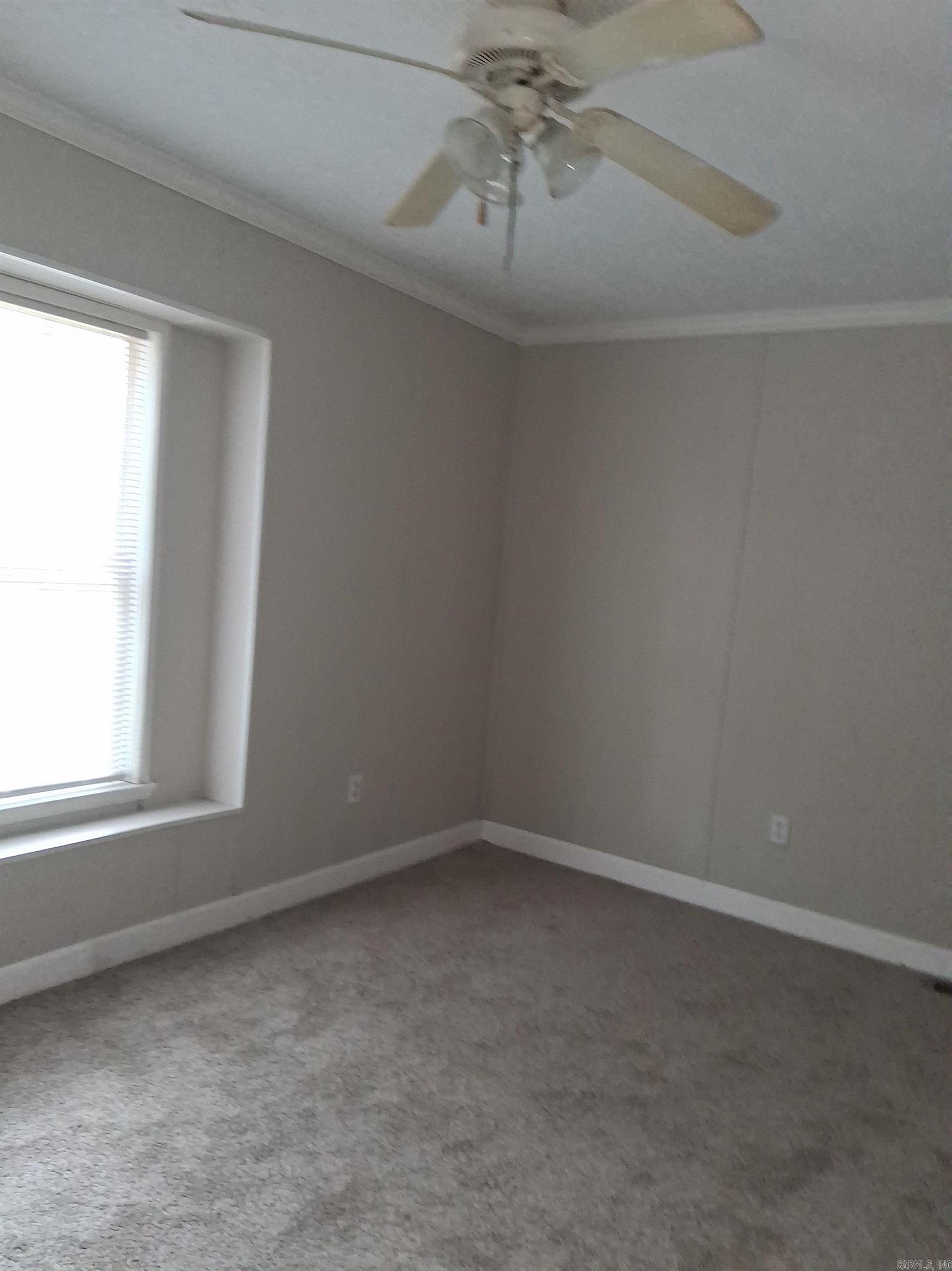 45 Willow Tree  Ward, AR