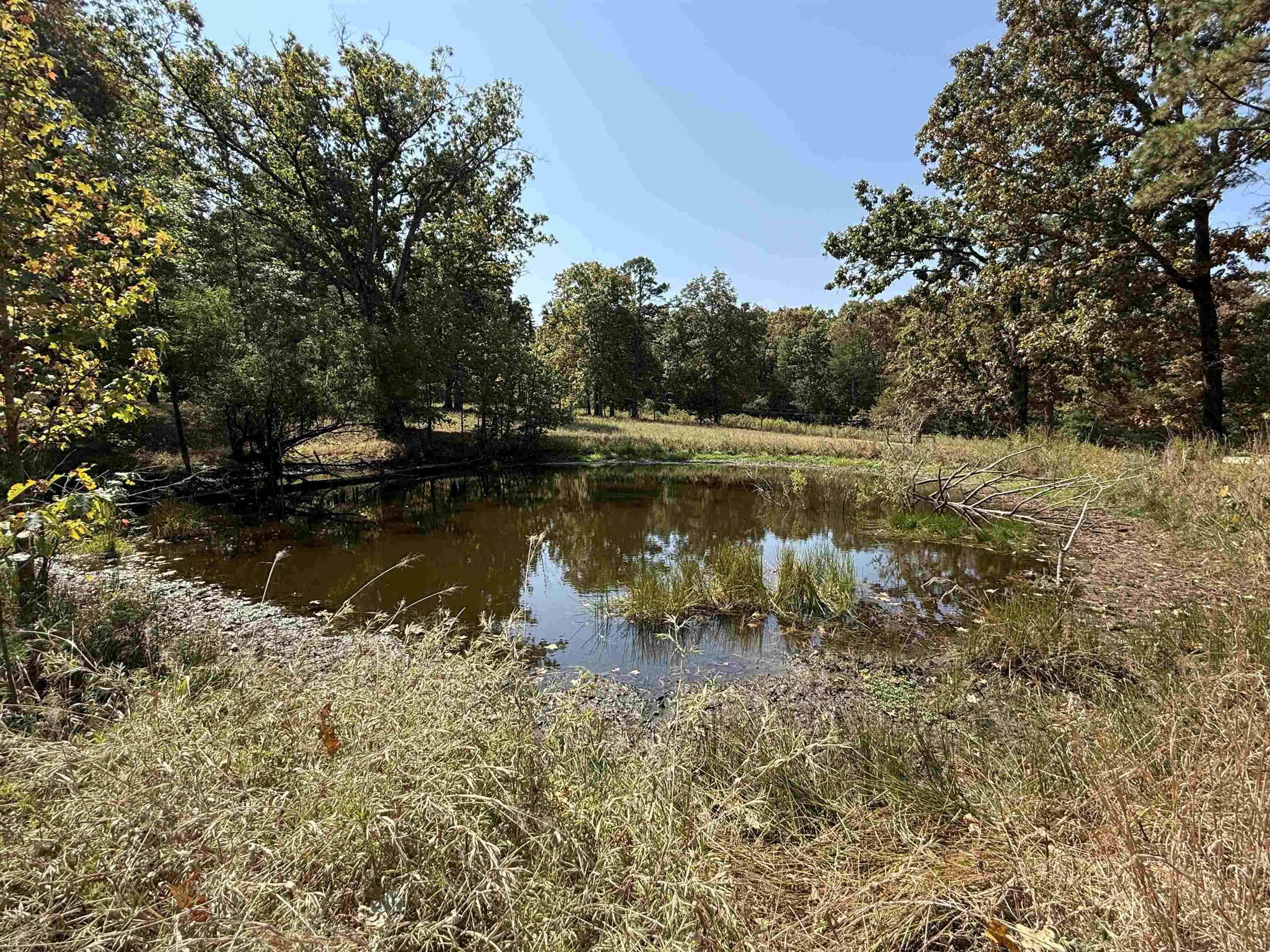 145 Mabry Lane Melbourne, AR 72556