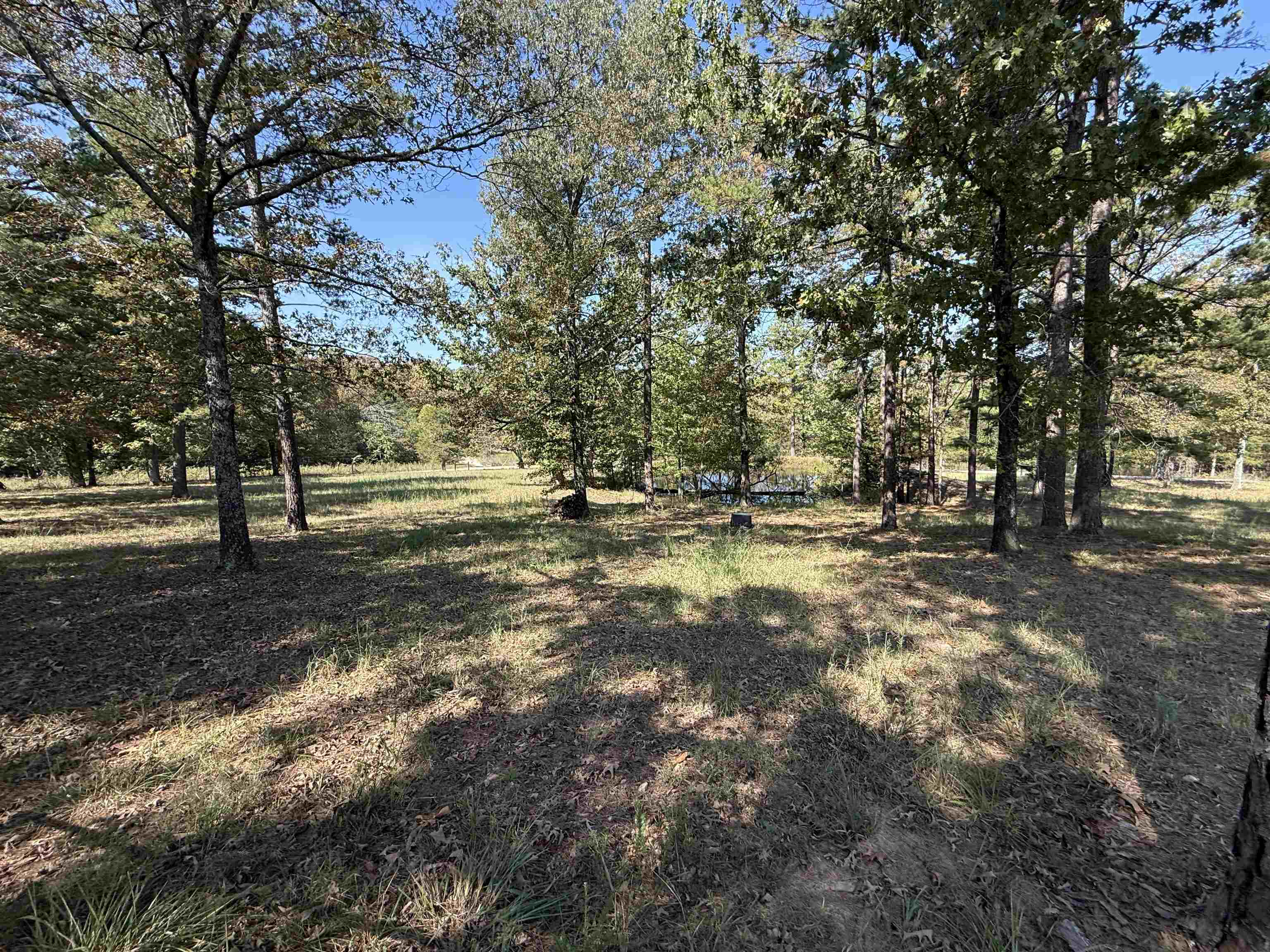 145 Mabry Lane Melbourne, AR 72556