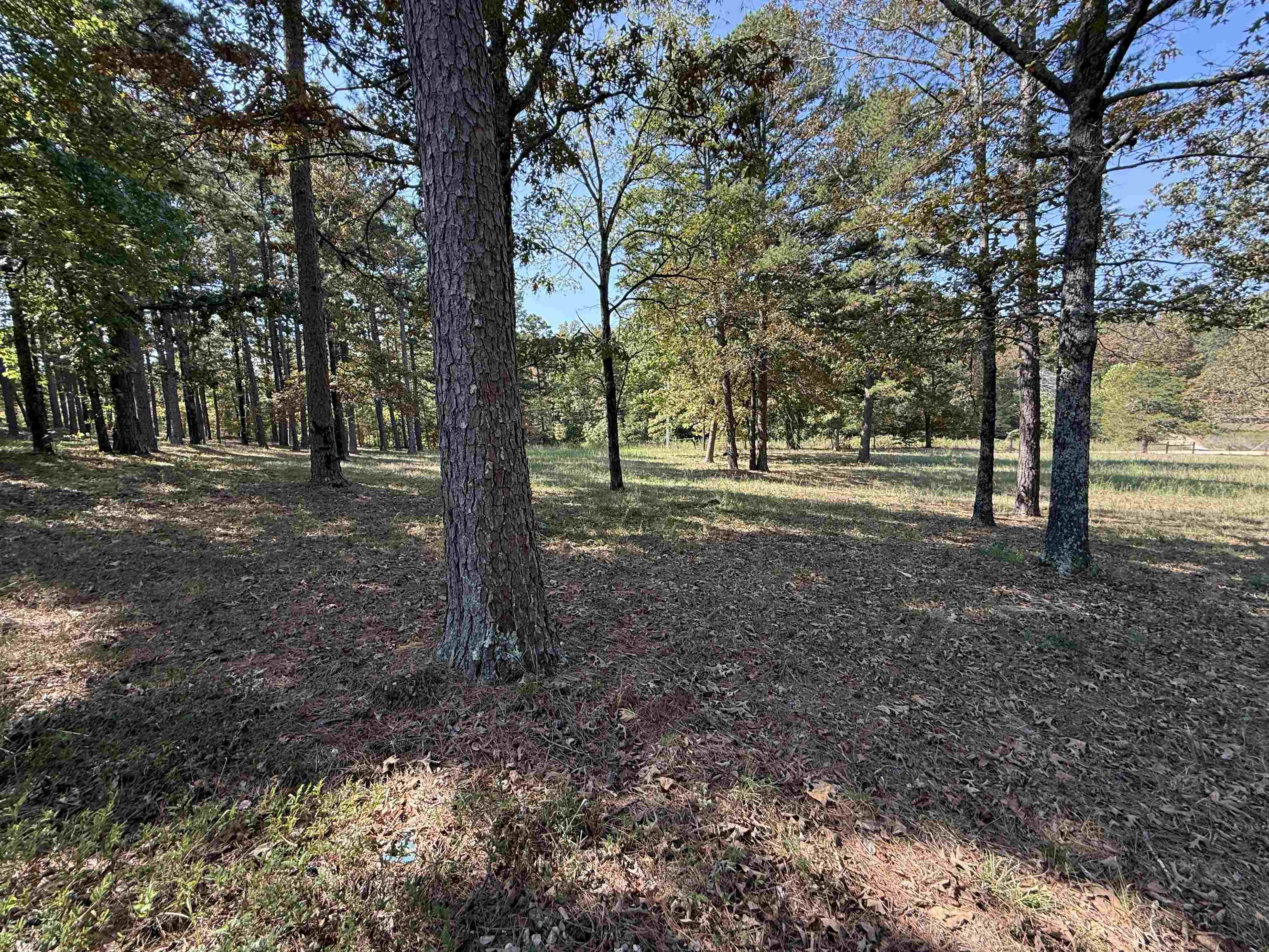 145 Mabry Lane Melbourne, AR 72556