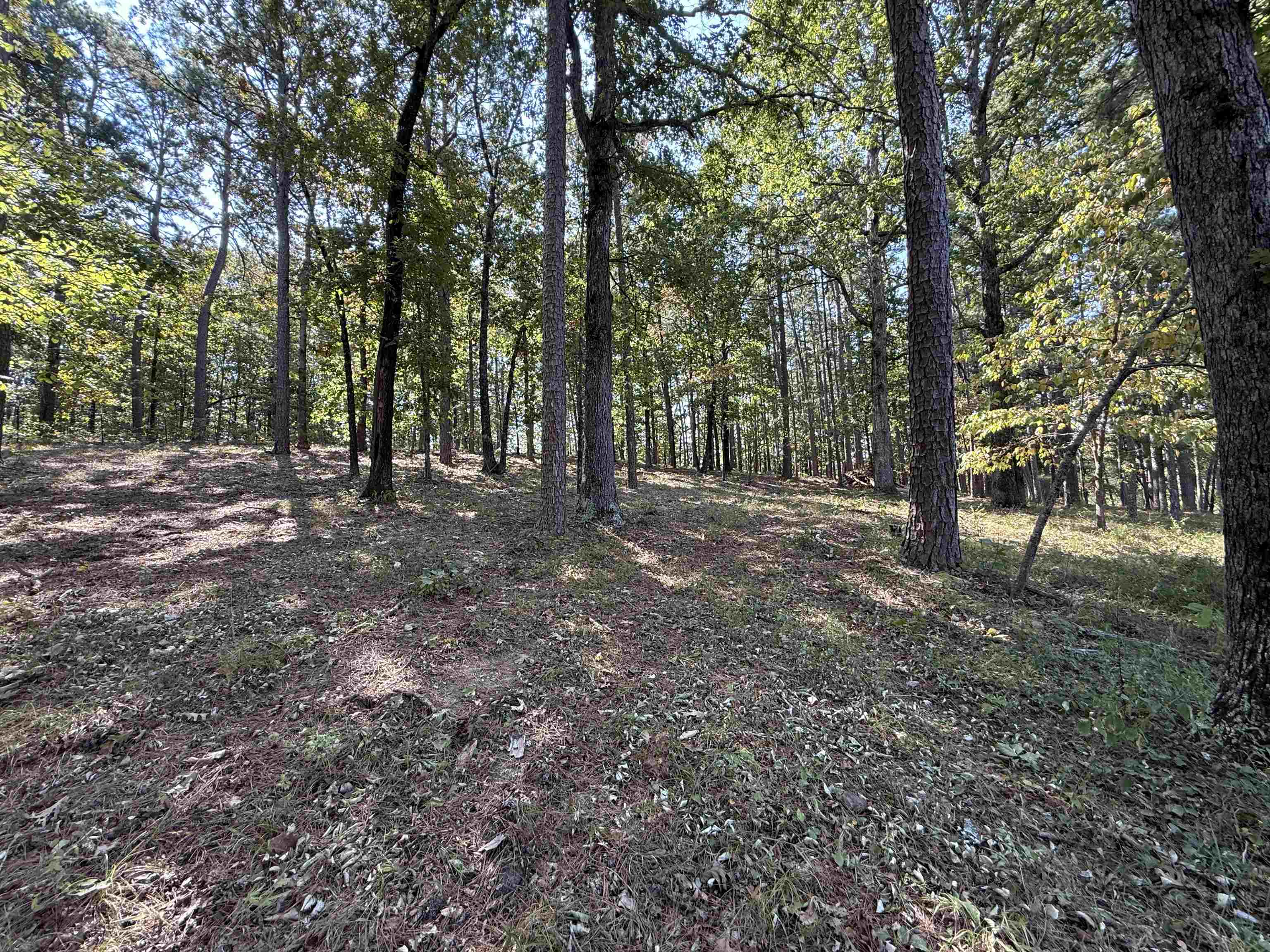 145 Mabry Lane Melbourne, AR 72556