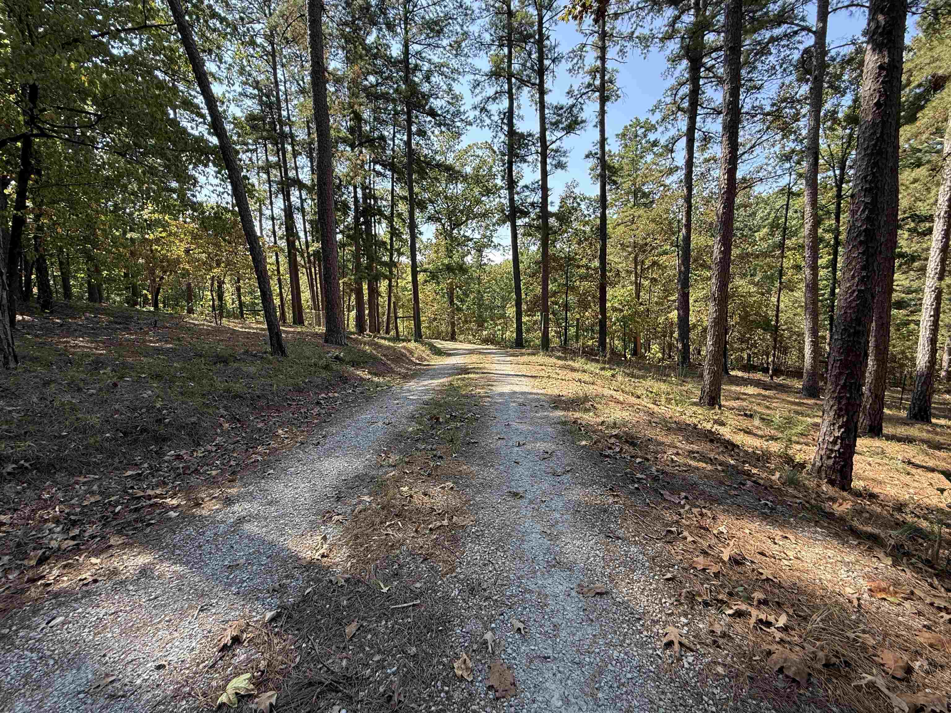 145 Mabry Lane Melbourne, AR 72556