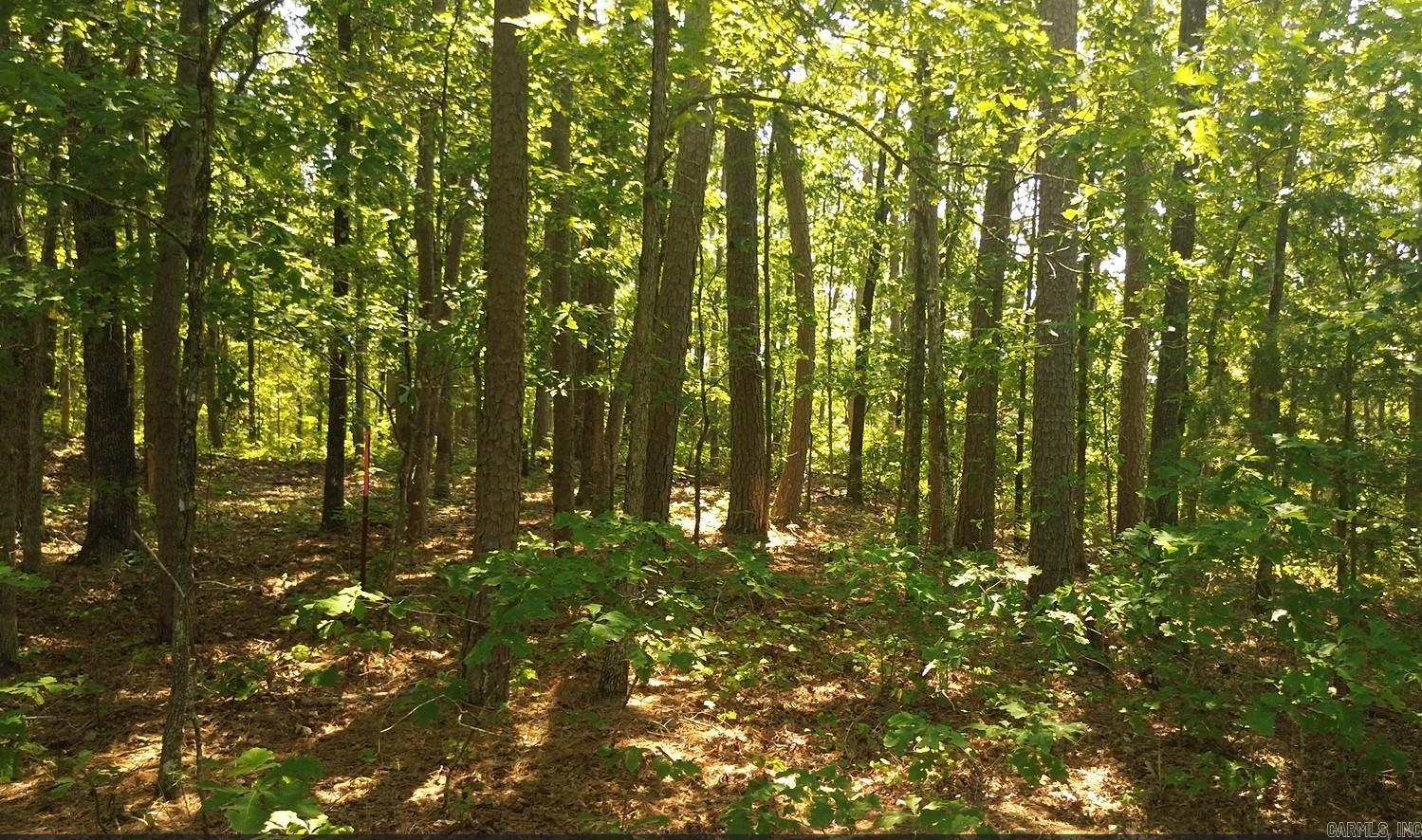 169 Brook Ln  Bee Branch, AR