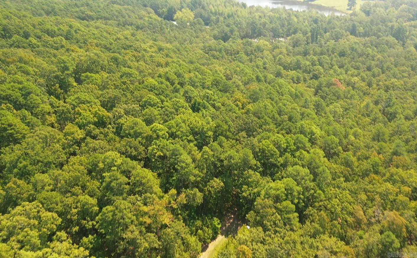 169 Brook Ln  Bee Branch, AR