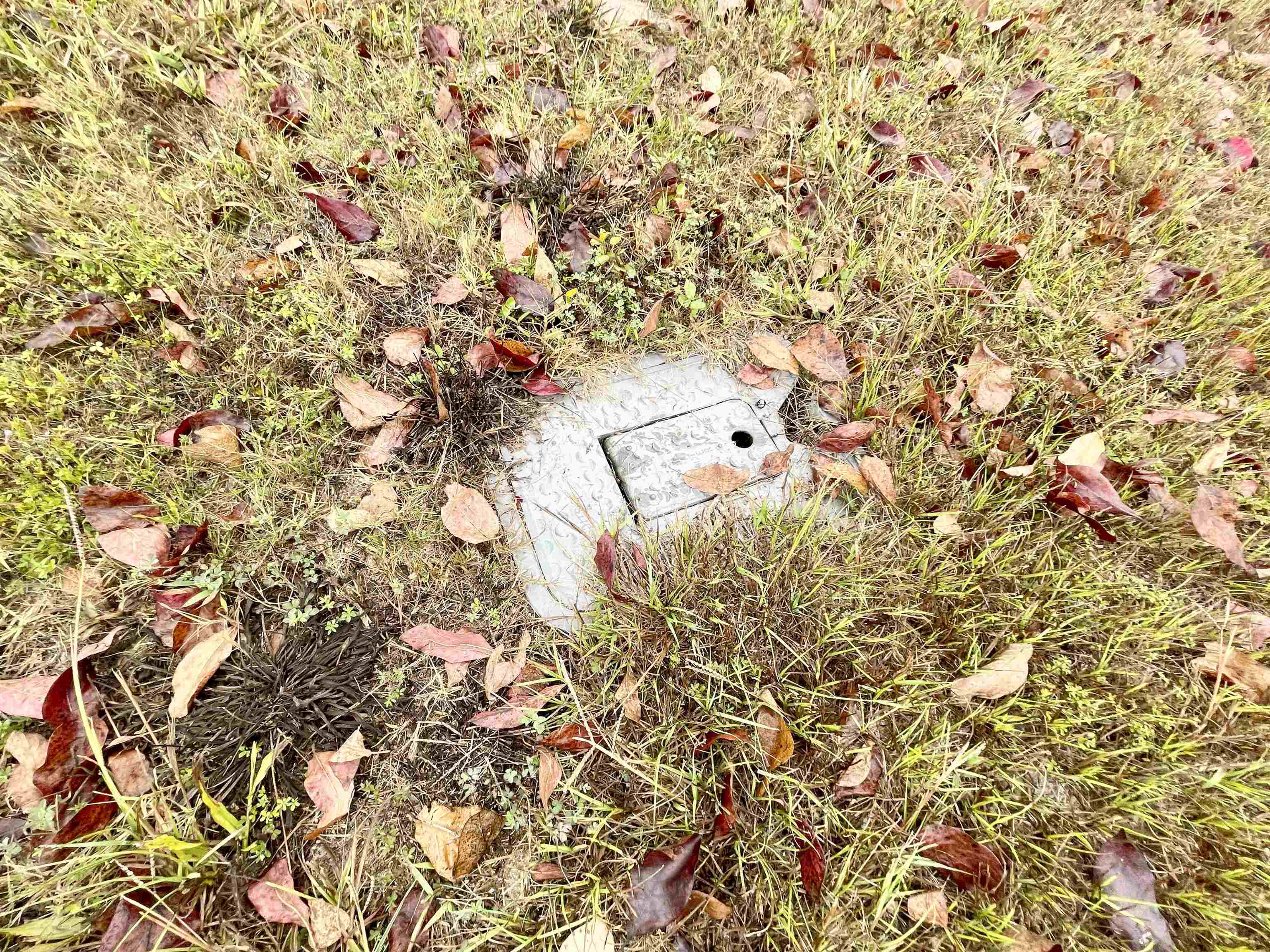 403 S Main  Salem, AR