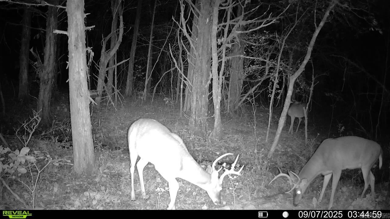 60 Barbara's  Hattieville, AR