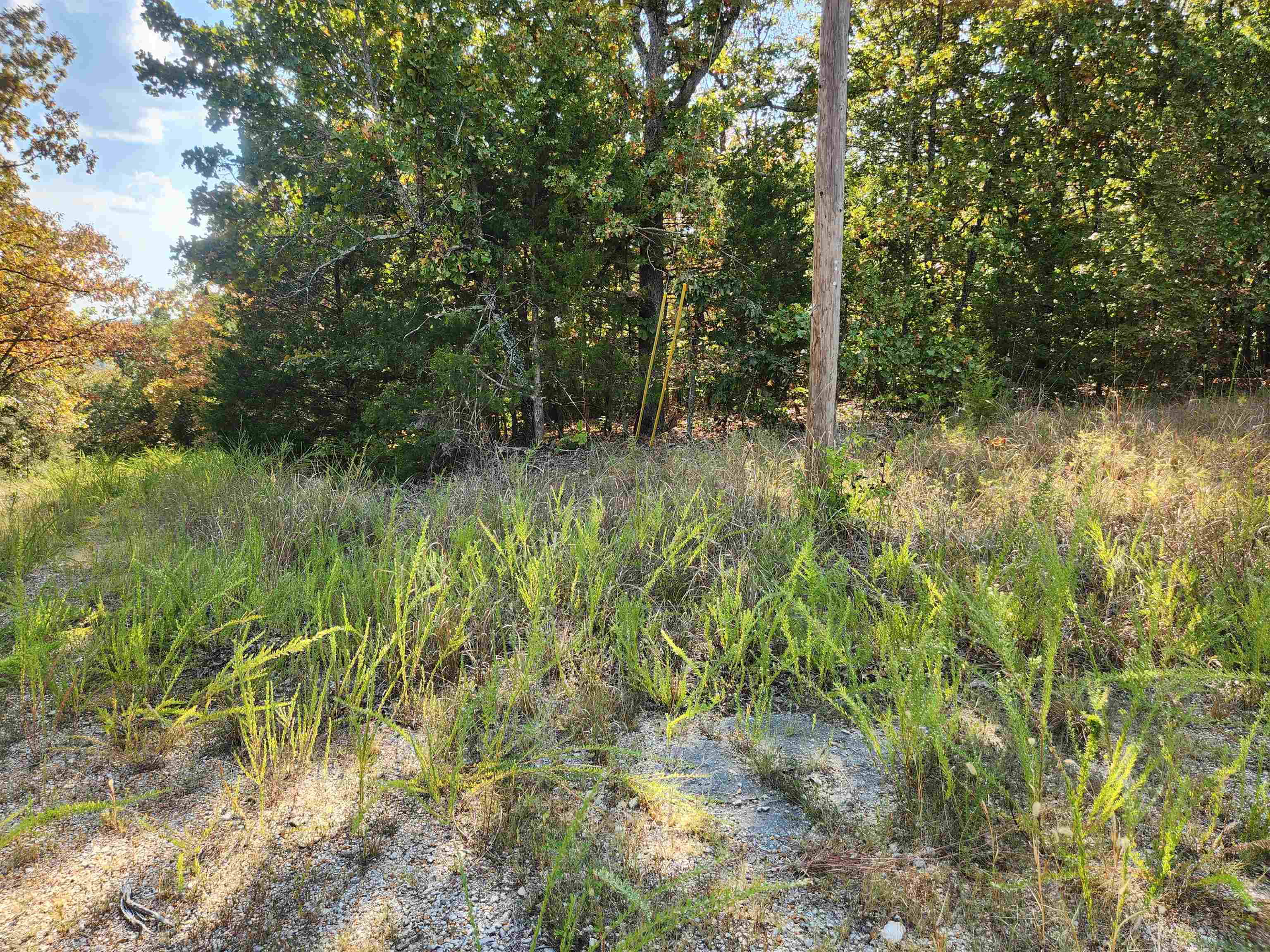 L16B5 Colonino  Cherokee Village, AR