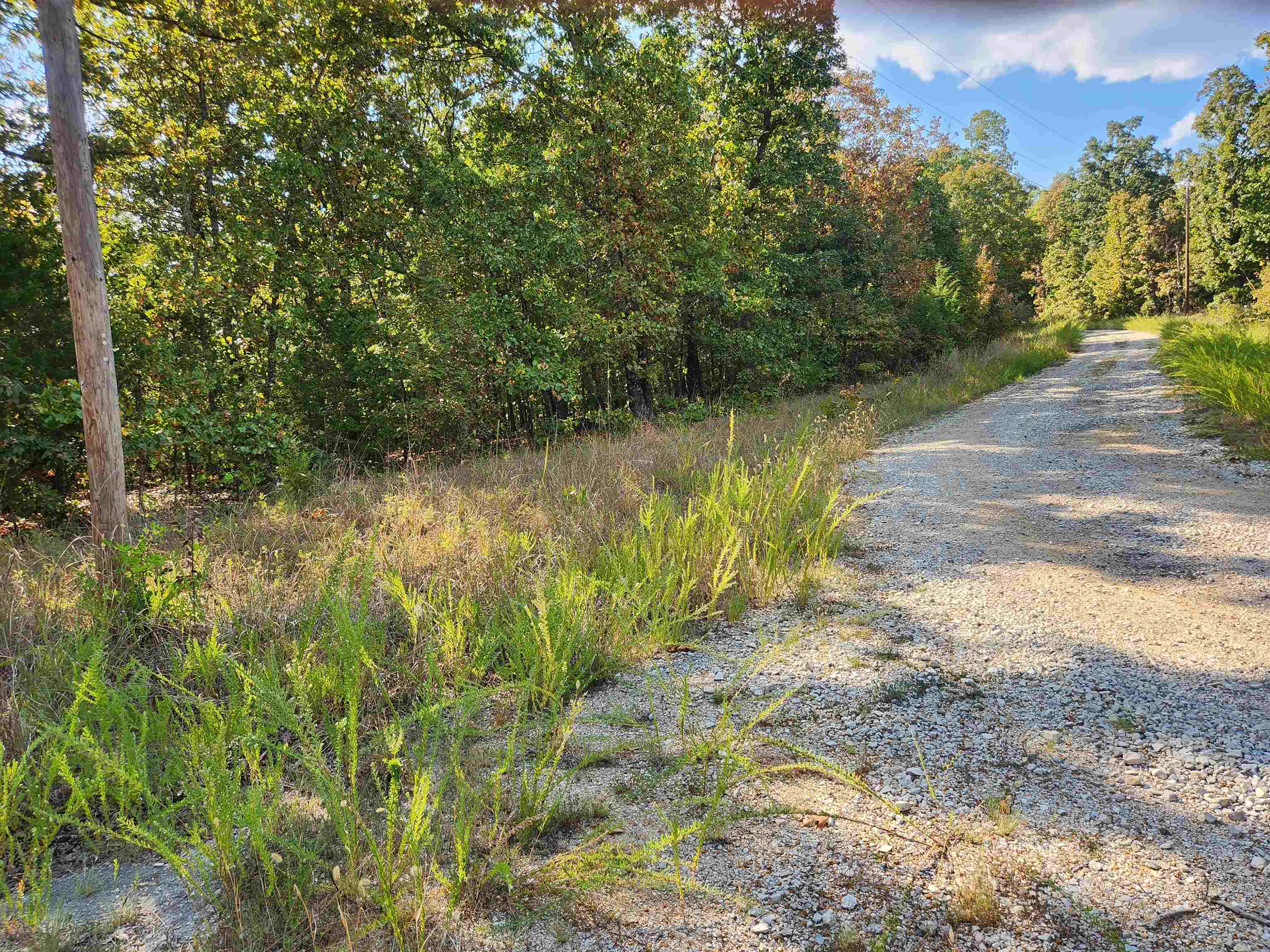 L16B5 Colonino  Cherokee Village, AR