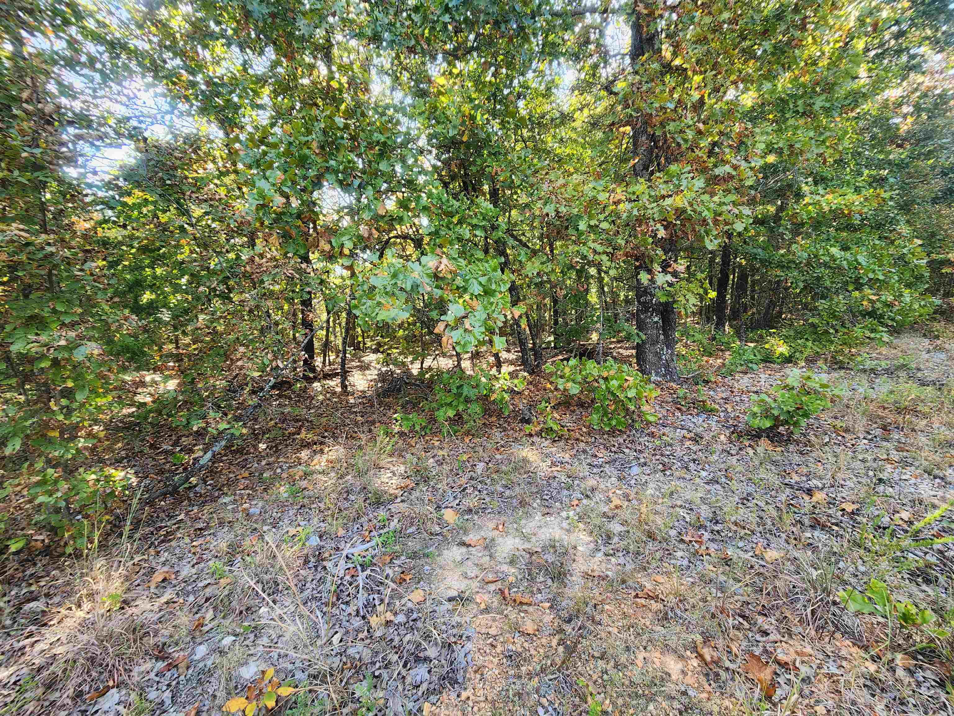 L16B5 Colonino  Cherokee Village, AR