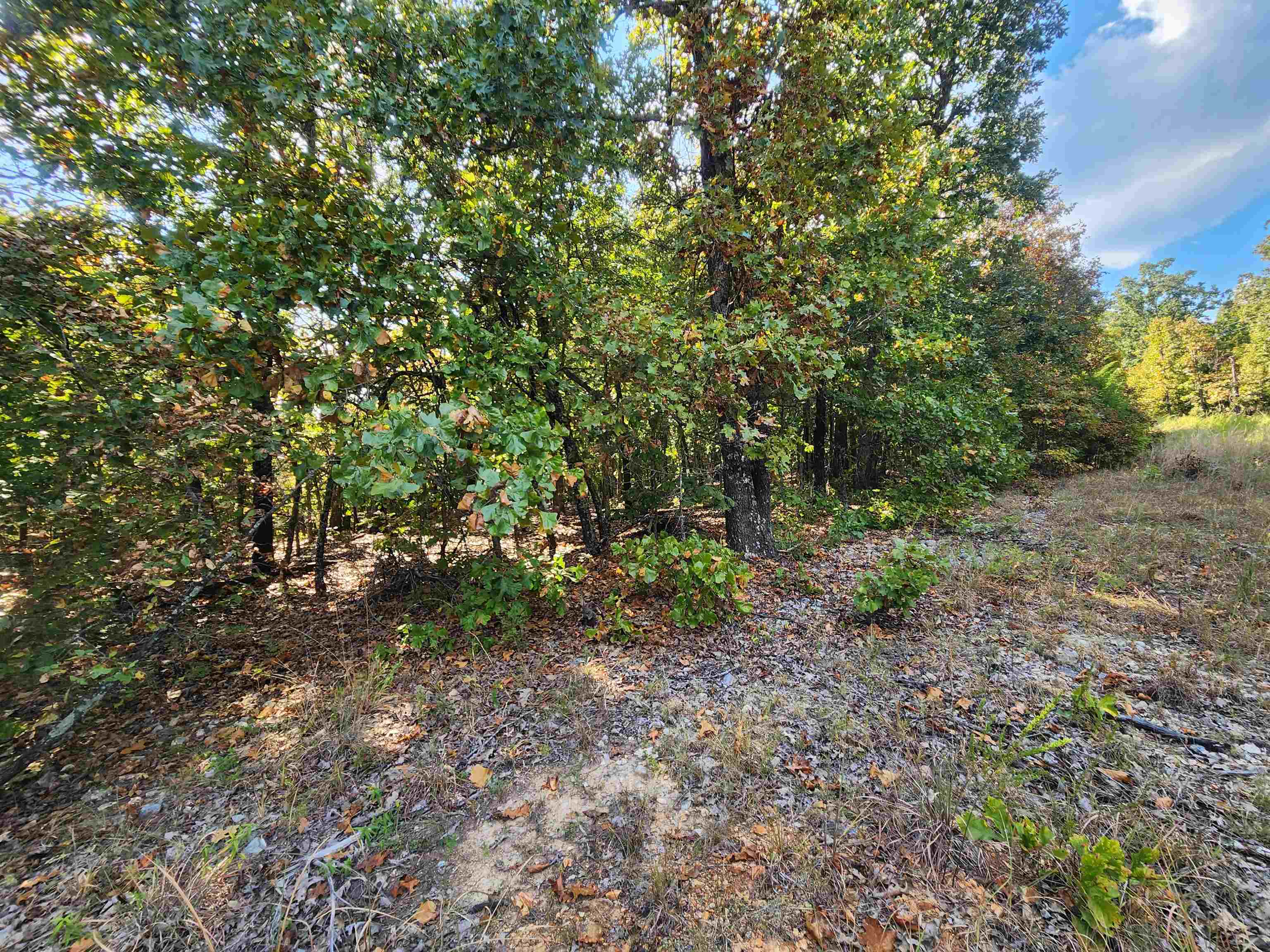 L16B5 Colonino  Cherokee Village, AR