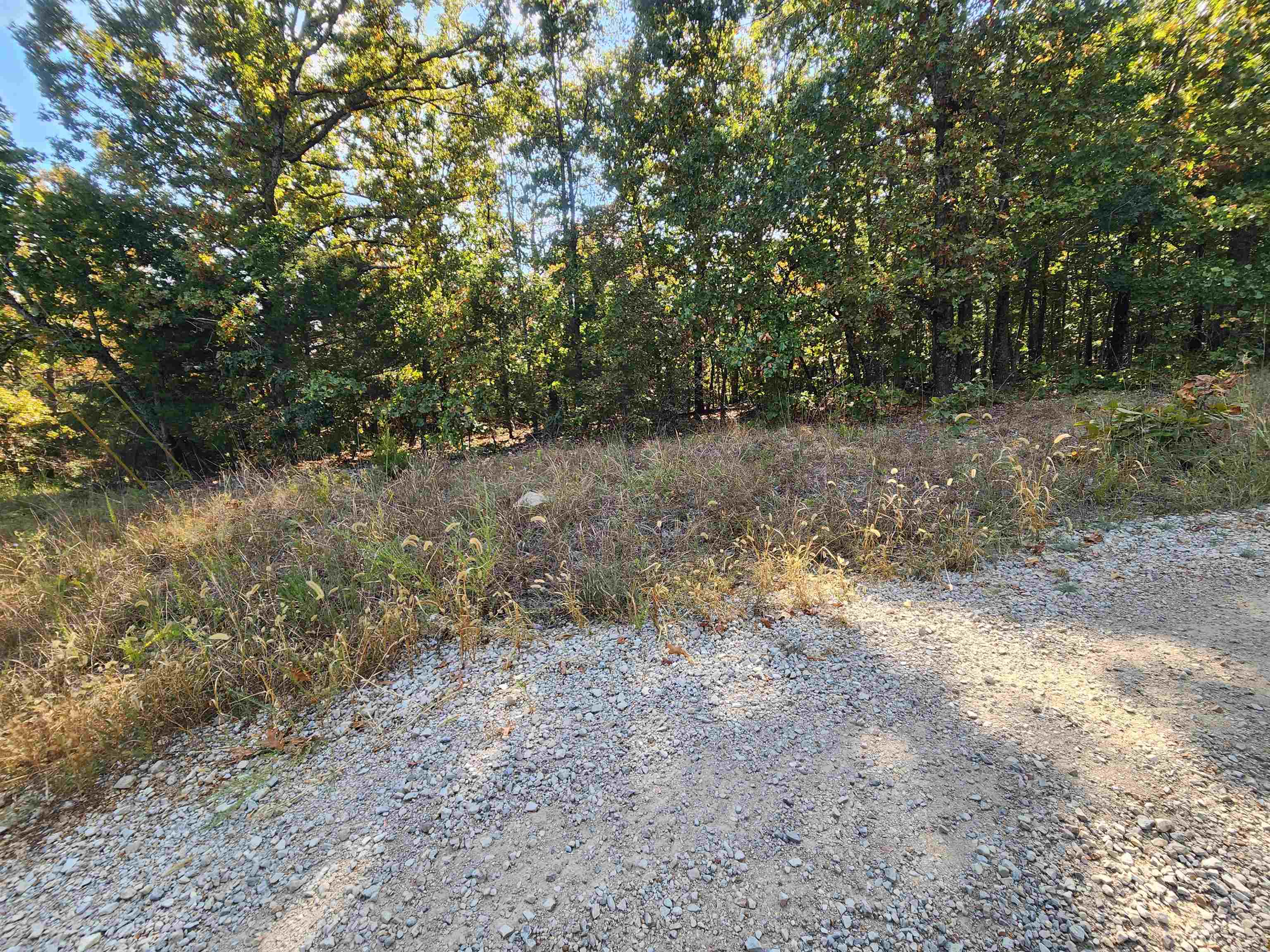 L16B5 Colonino  Cherokee Village, AR