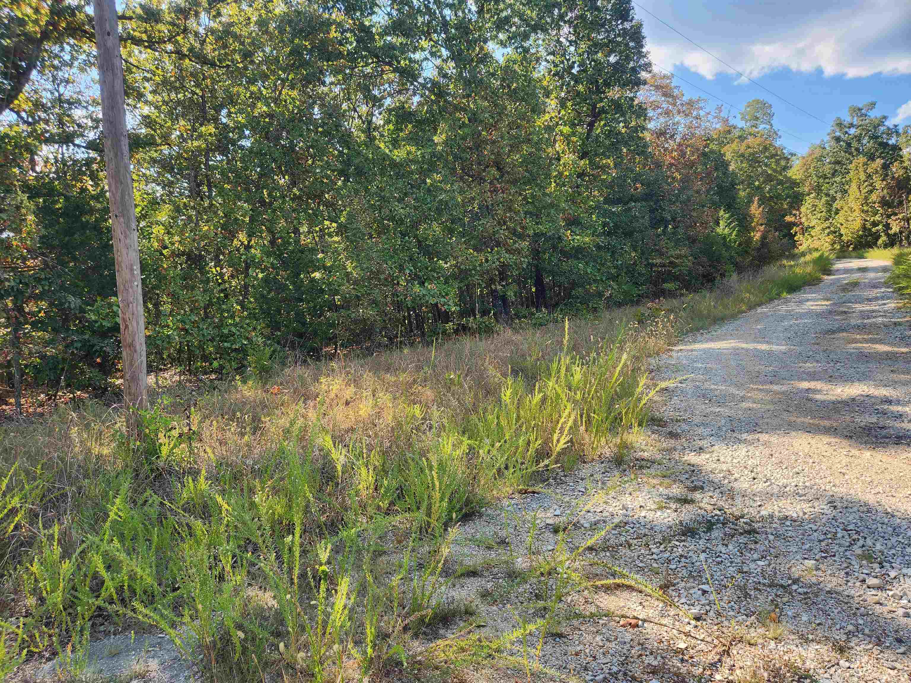 L16B5 Colonino  Cherokee Village, AR