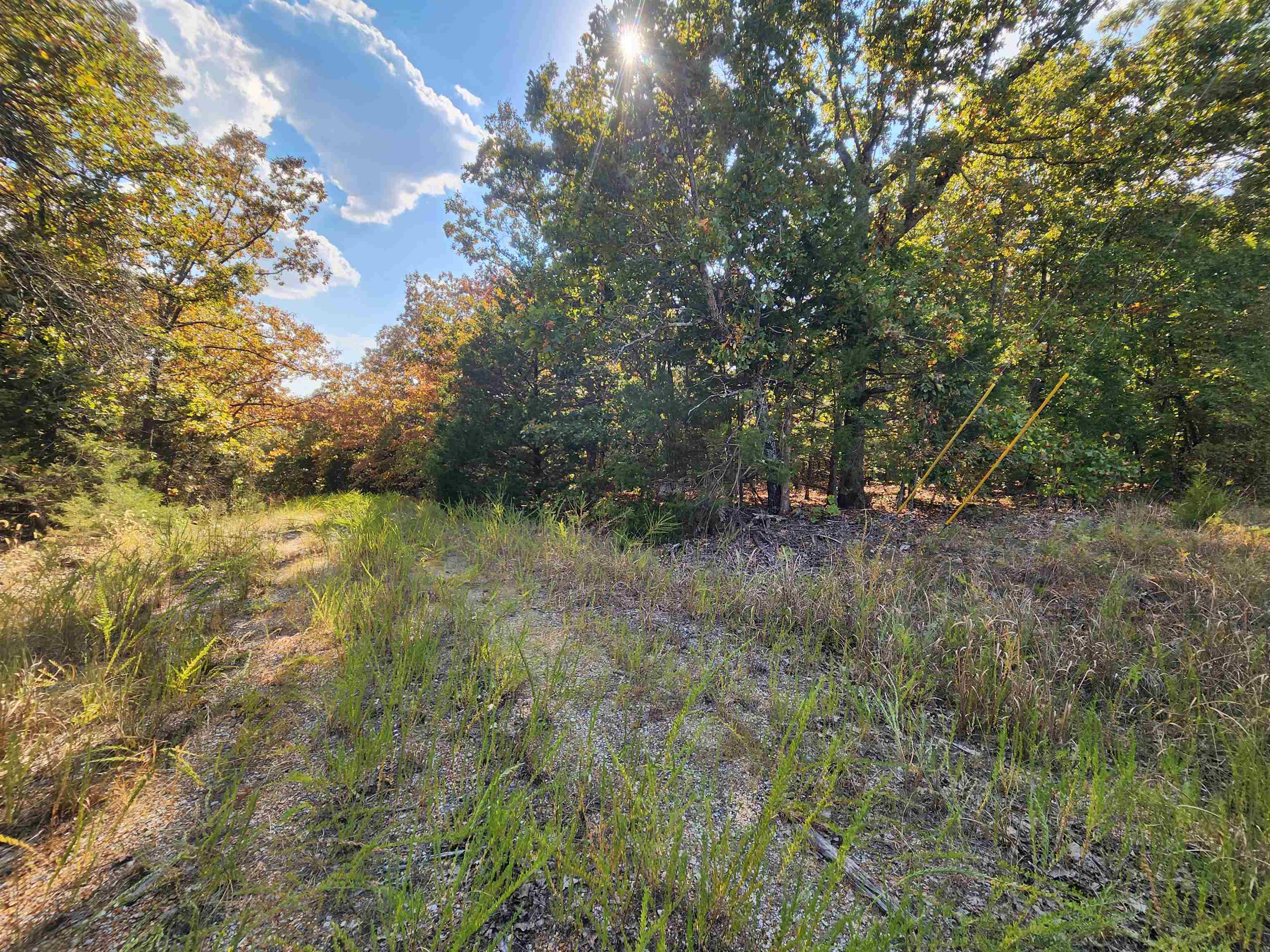 L16B5 Colonino  Cherokee Village, AR