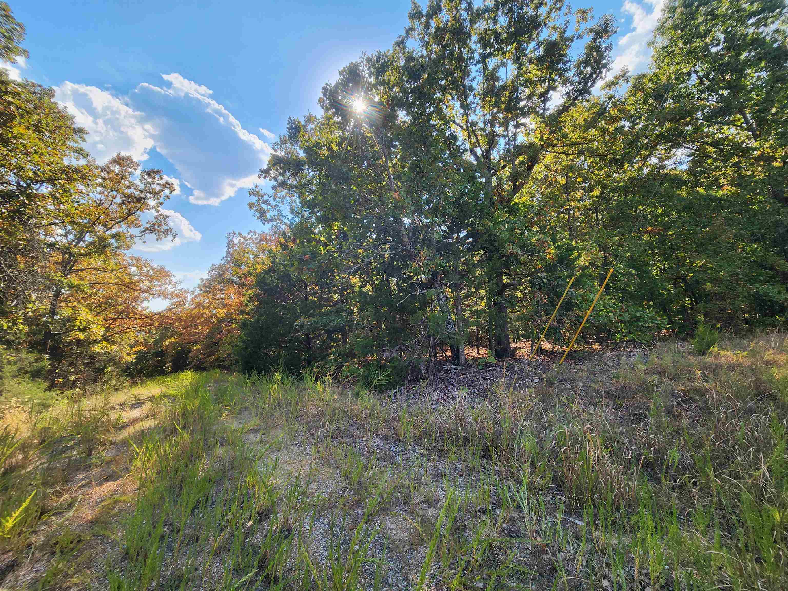 L16B5 Colonino  Cherokee Village, AR