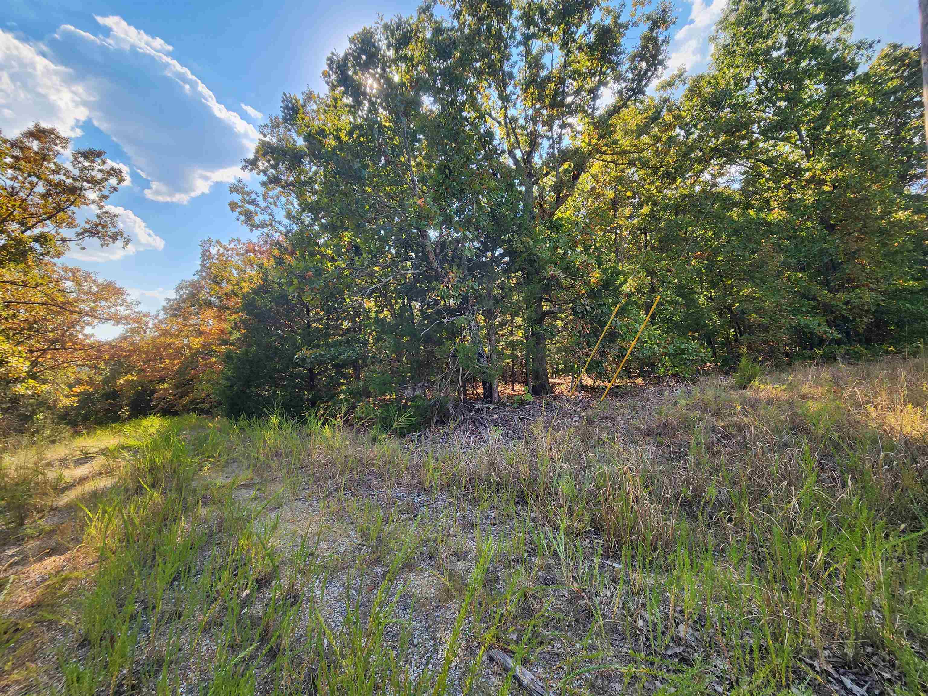 L16B5 Colonino  Cherokee Village, AR