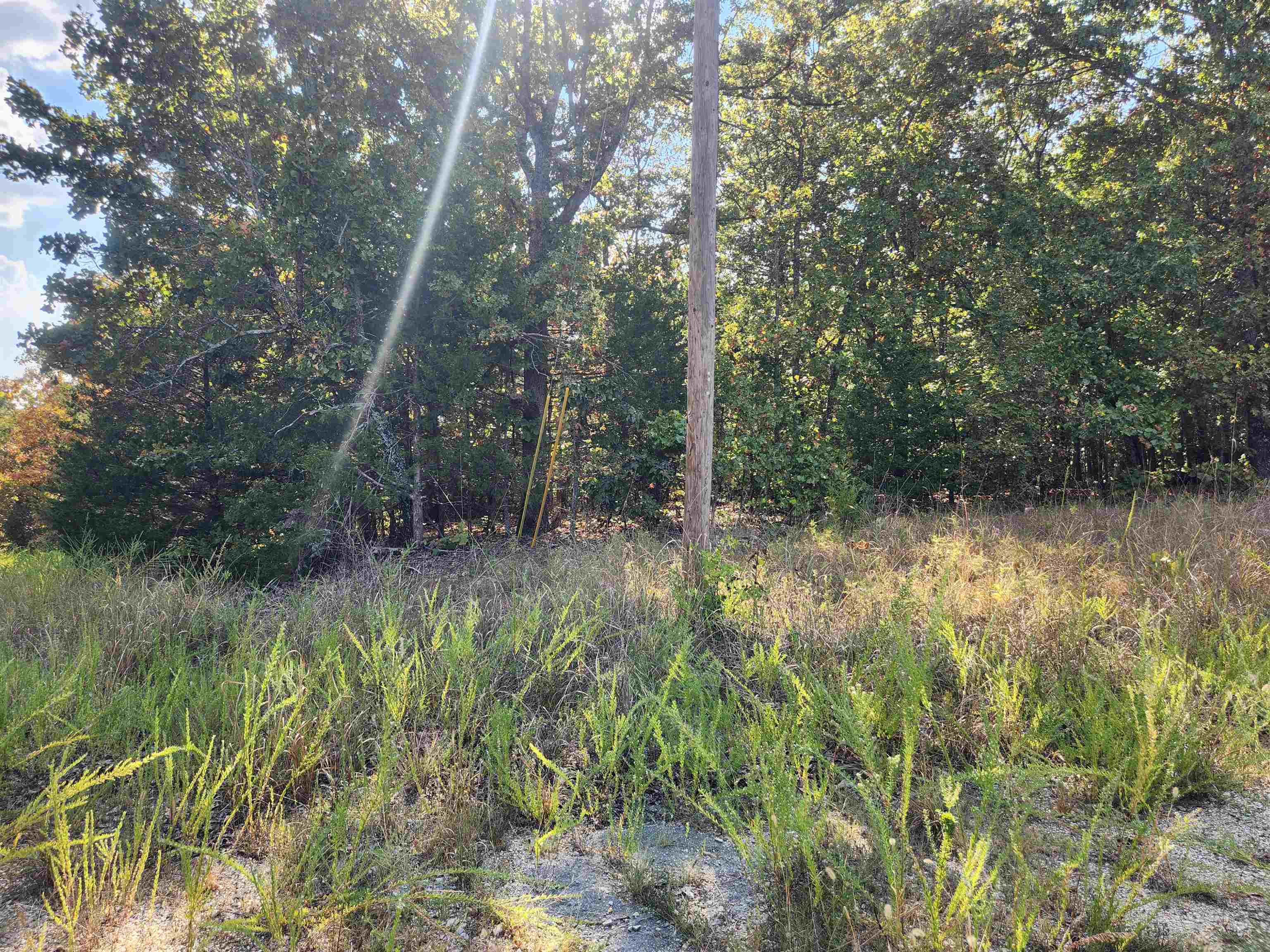 L16B5 Colonino  Cherokee Village, AR