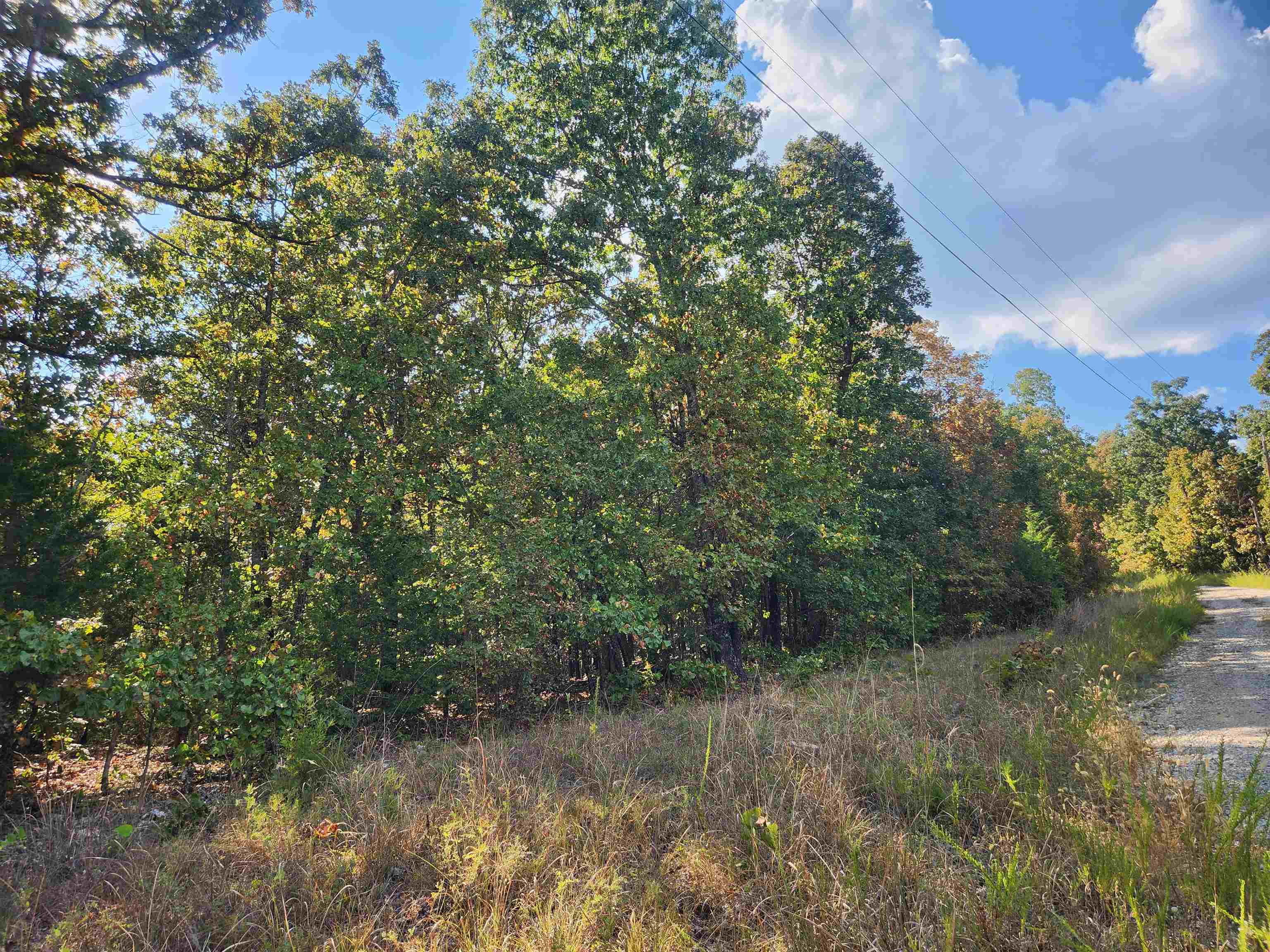 L16B5 Colonino  Cherokee Village, AR