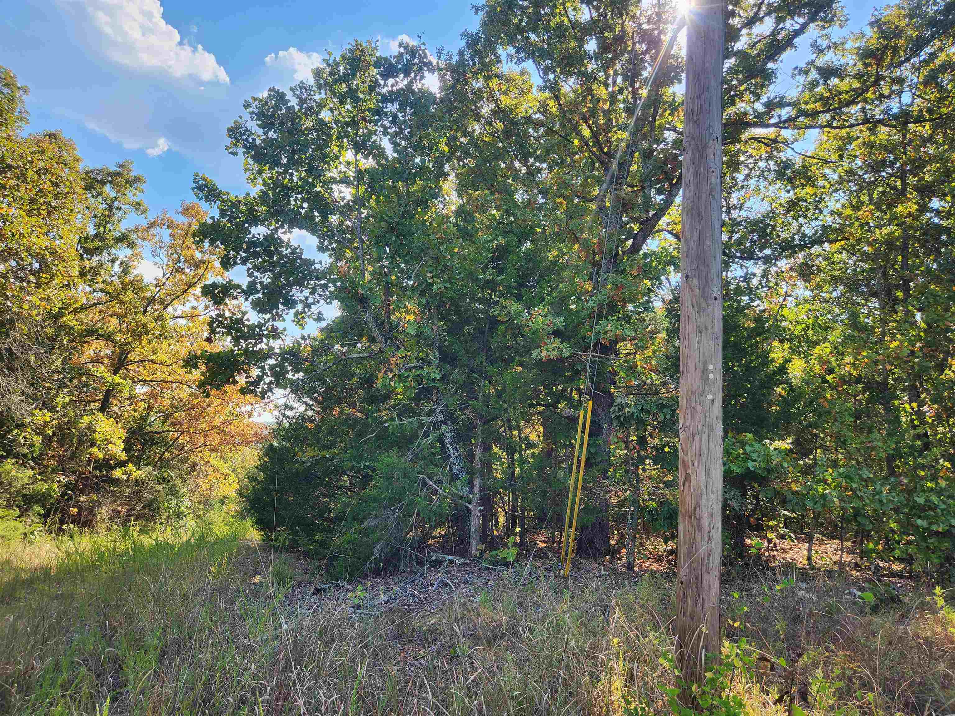 L16B5 Colonino  Cherokee Village, AR