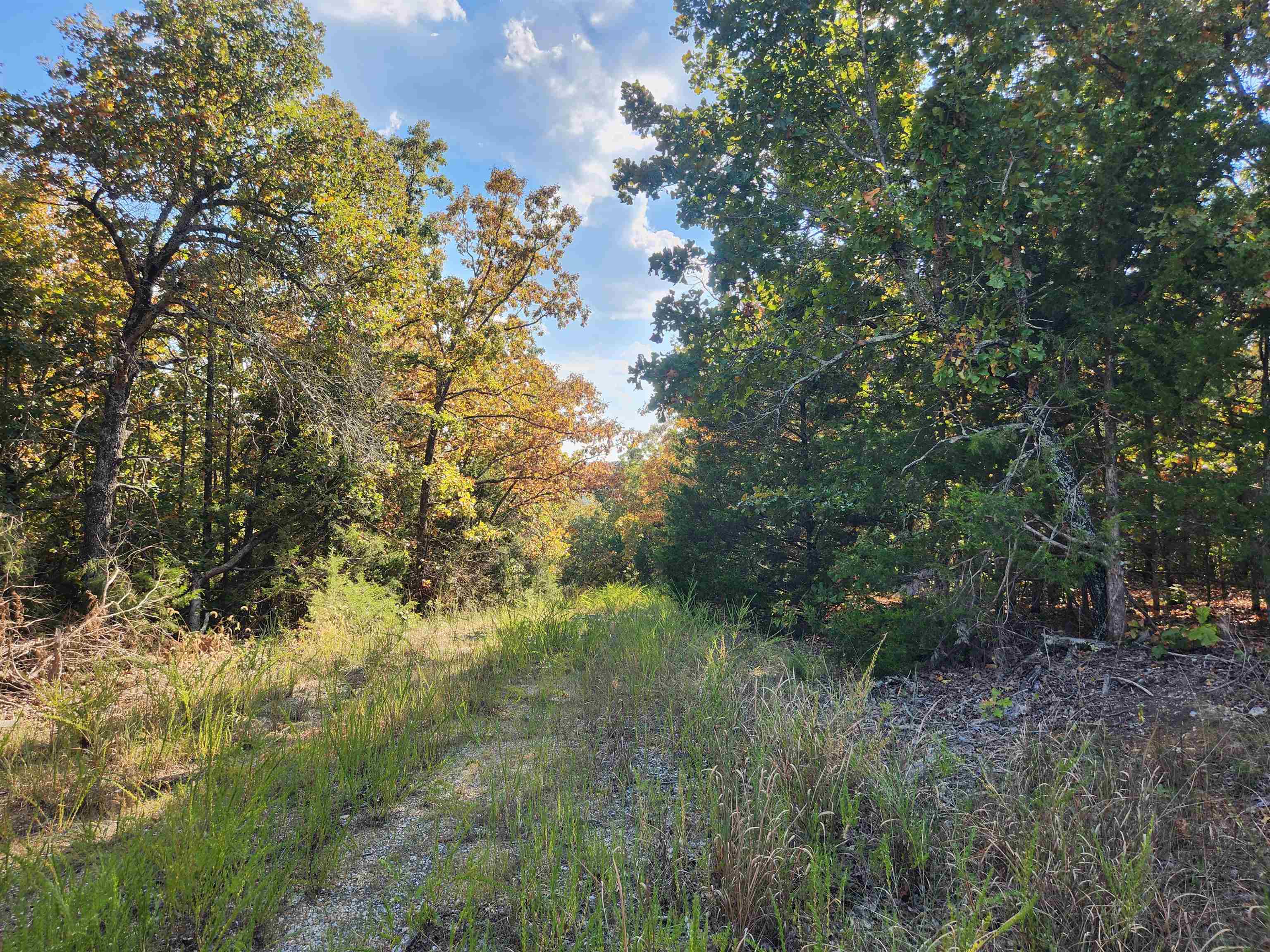 L16B5 Colonino  Cherokee Village, AR