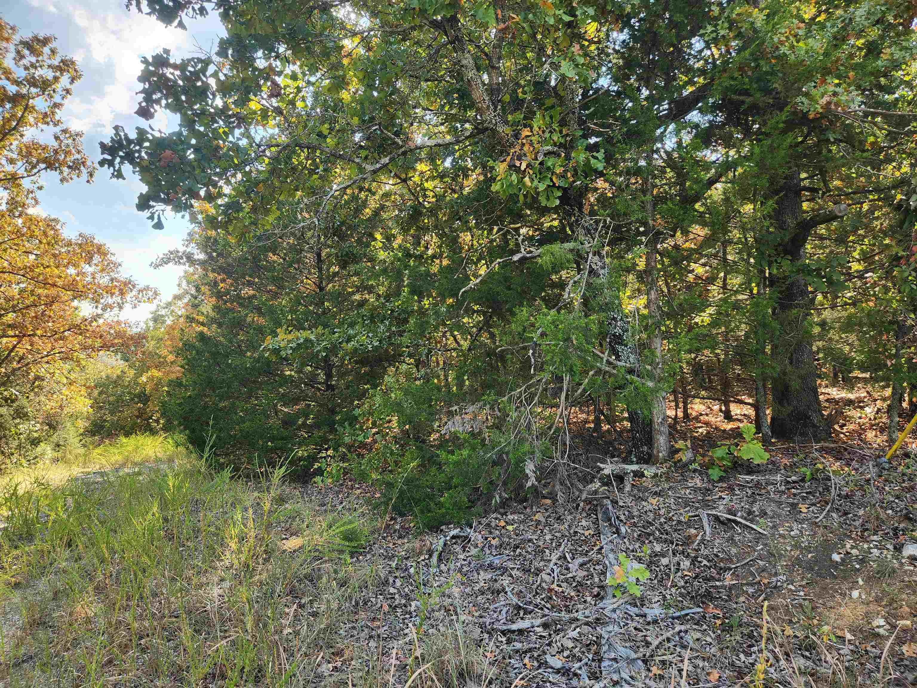 L16B5 Colonino  Cherokee Village, AR