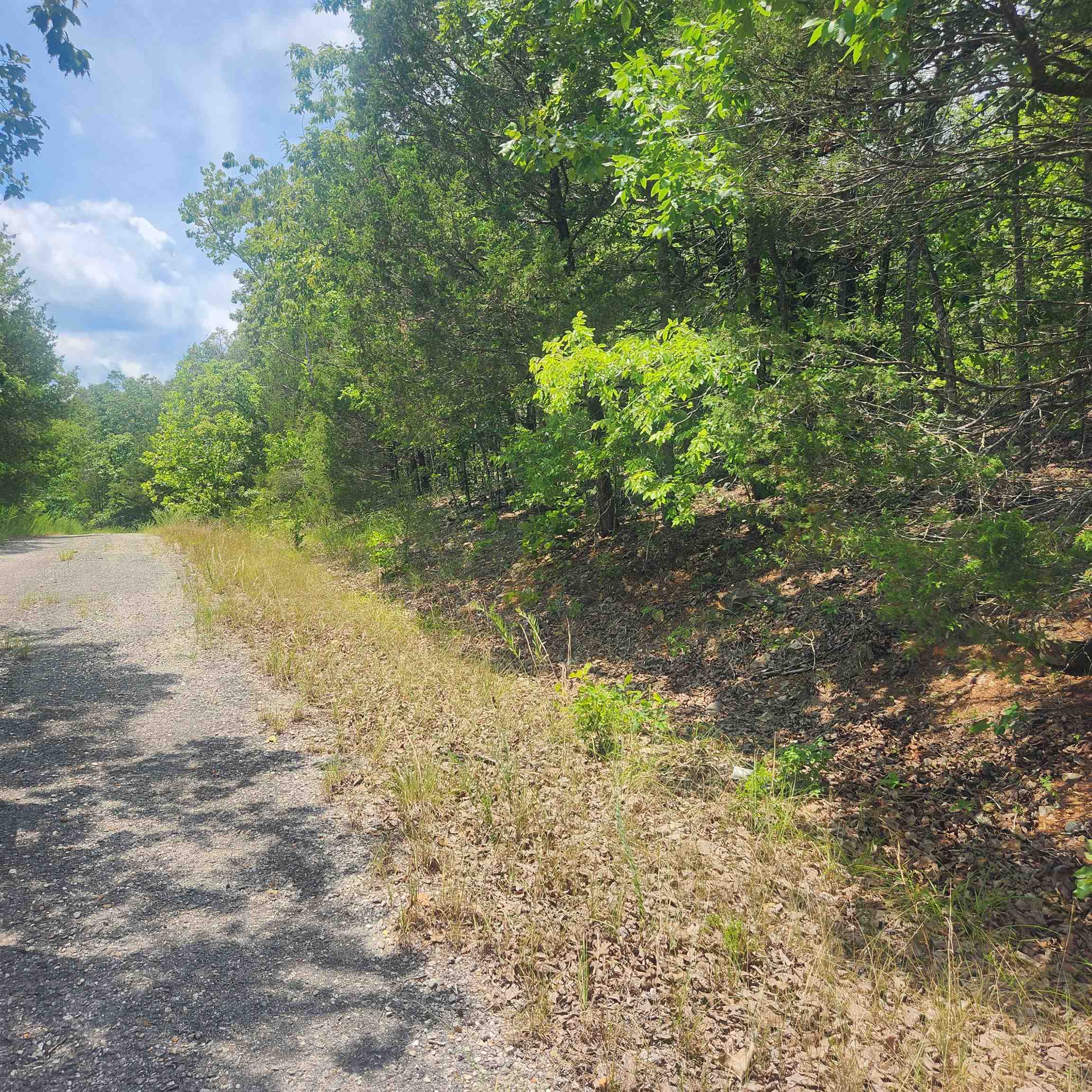 L-61, B-7 Lochloosa  Cherokee Village, AR