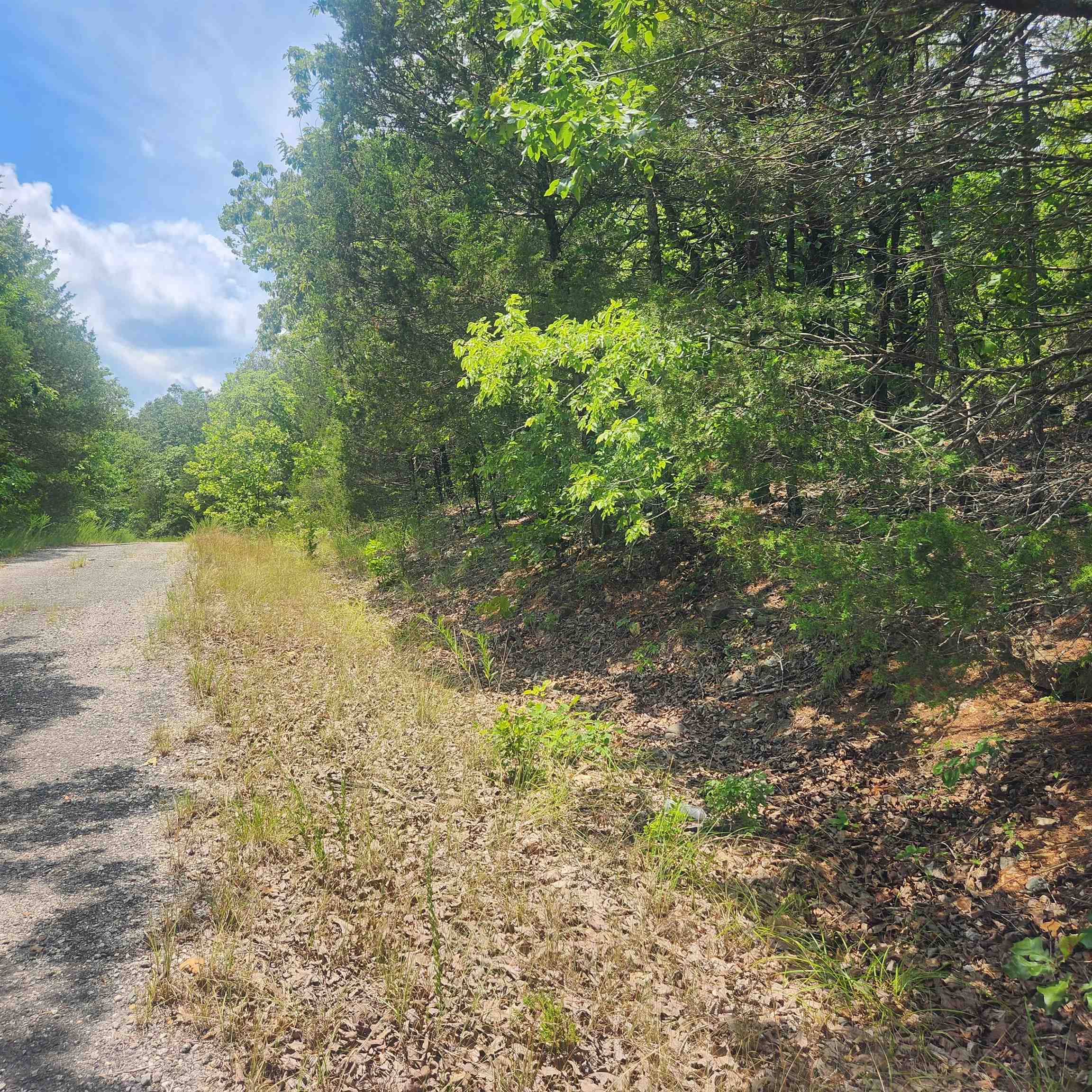L-61, B-7 Lochloosa  Cherokee Village, AR
