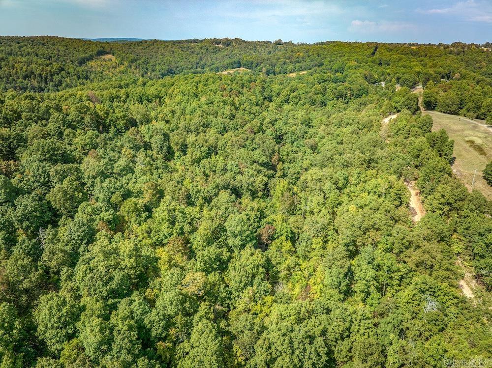  Fawn Drive  Harriet, AR