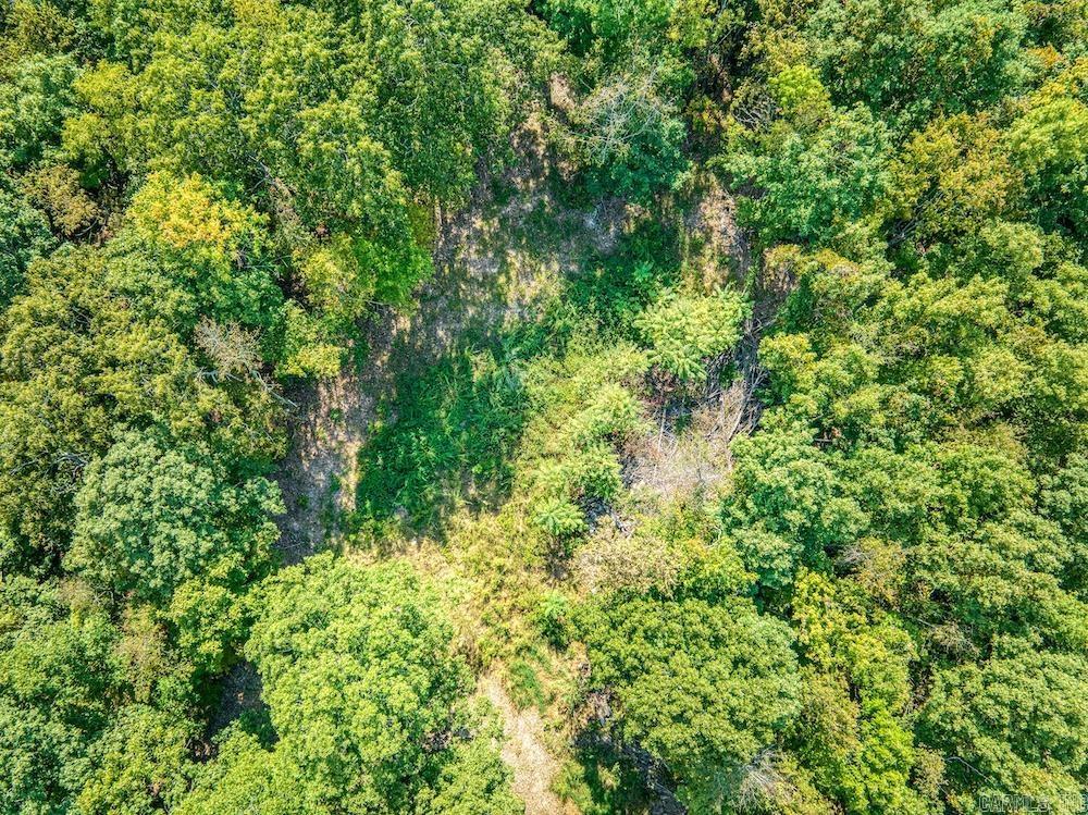  Fawn Drive  Harriet, AR