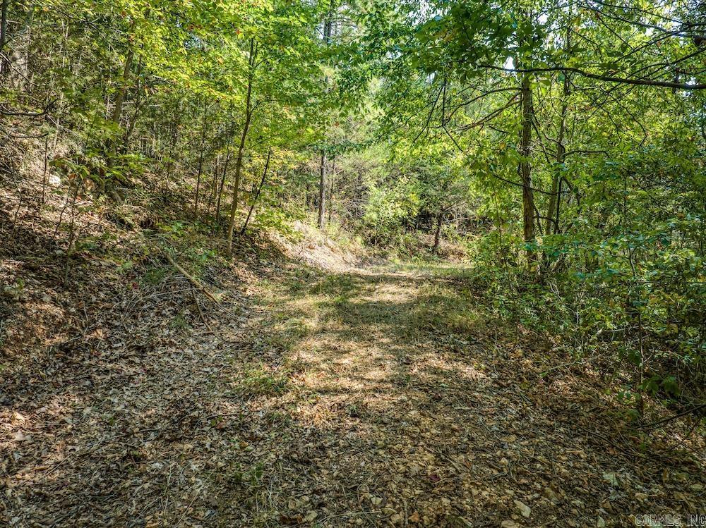  Fawn Drive  Harriet, AR