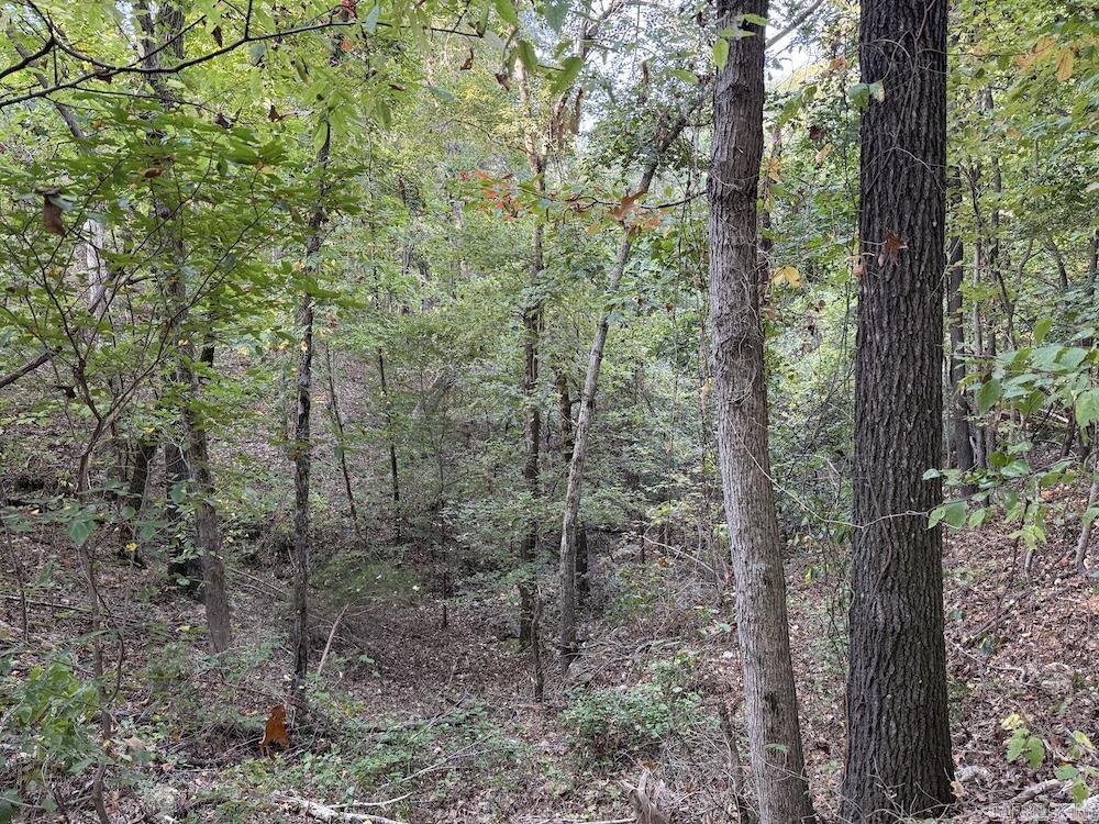  Fawn Drive  Harriet, AR