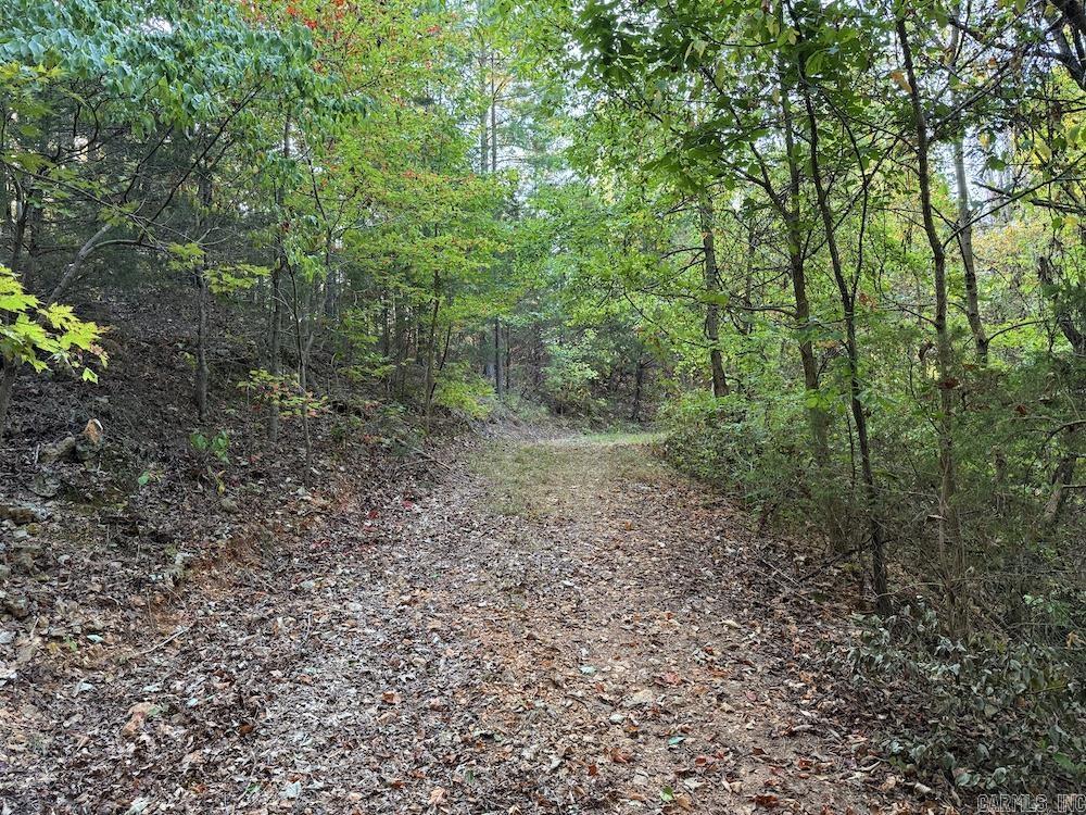  Fawn Drive  Harriet, AR