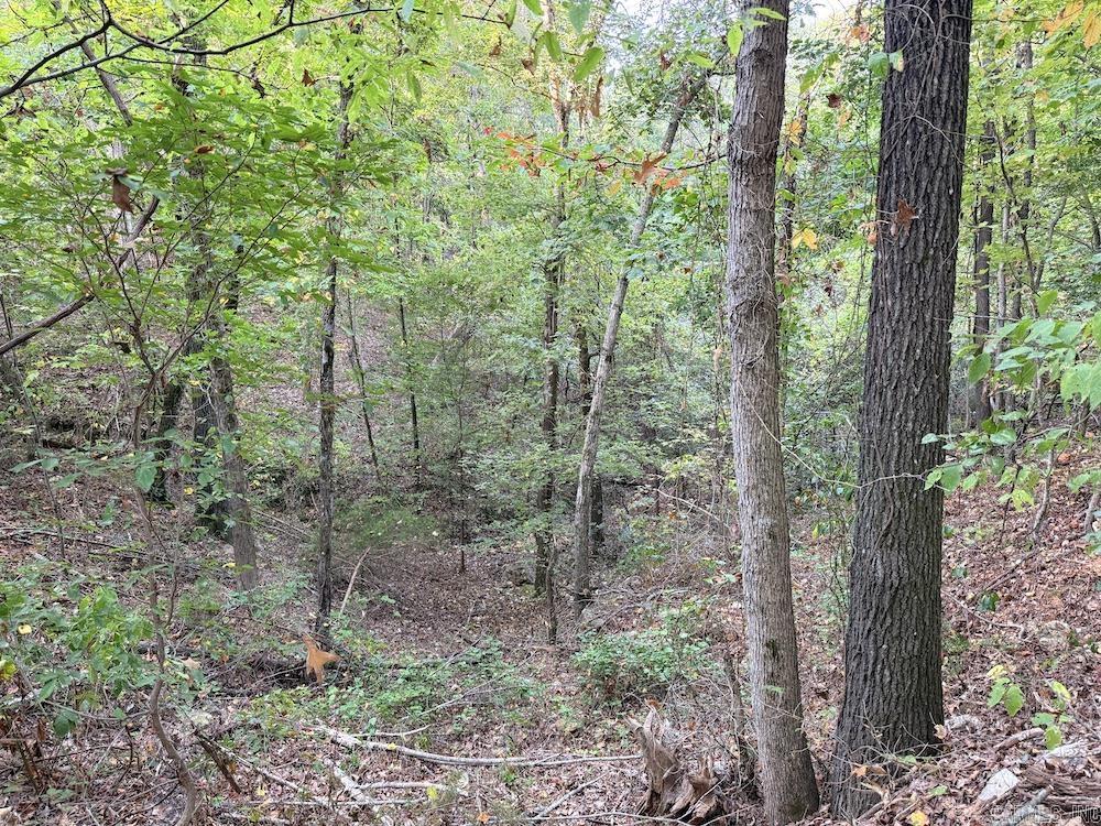  Fawn Drive  Harriet, AR