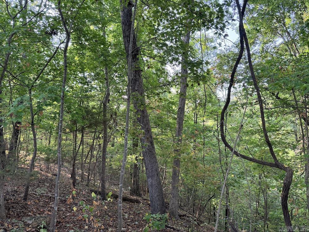  Fawn Drive  Harriet, AR