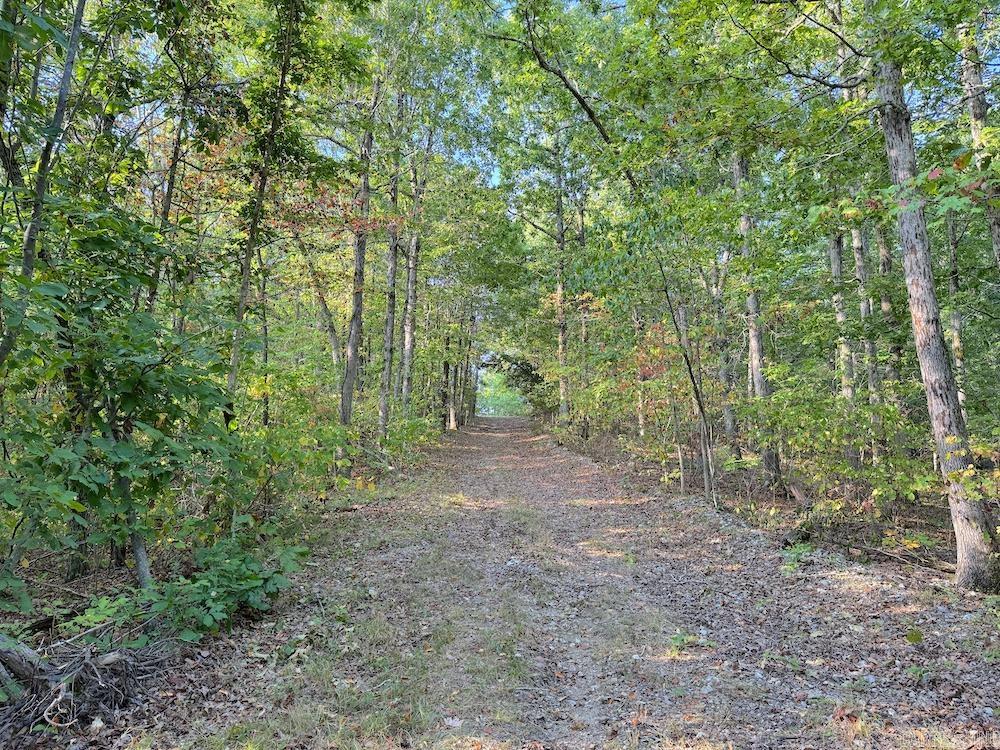  Fawn Drive  Harriet, AR