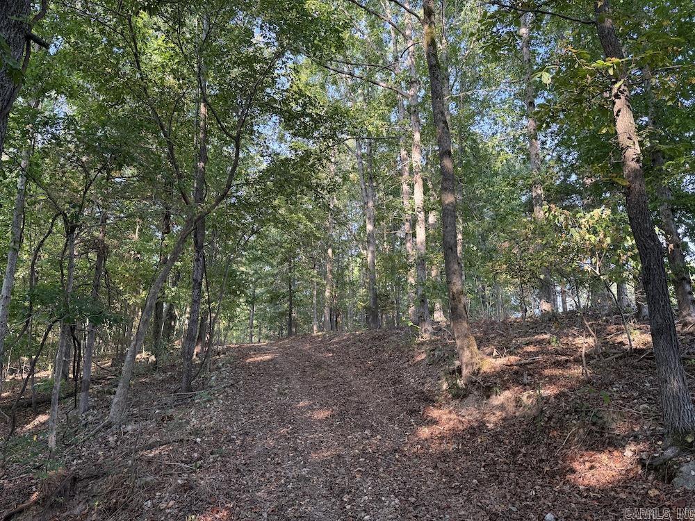  Fawn Drive  Harriet, AR