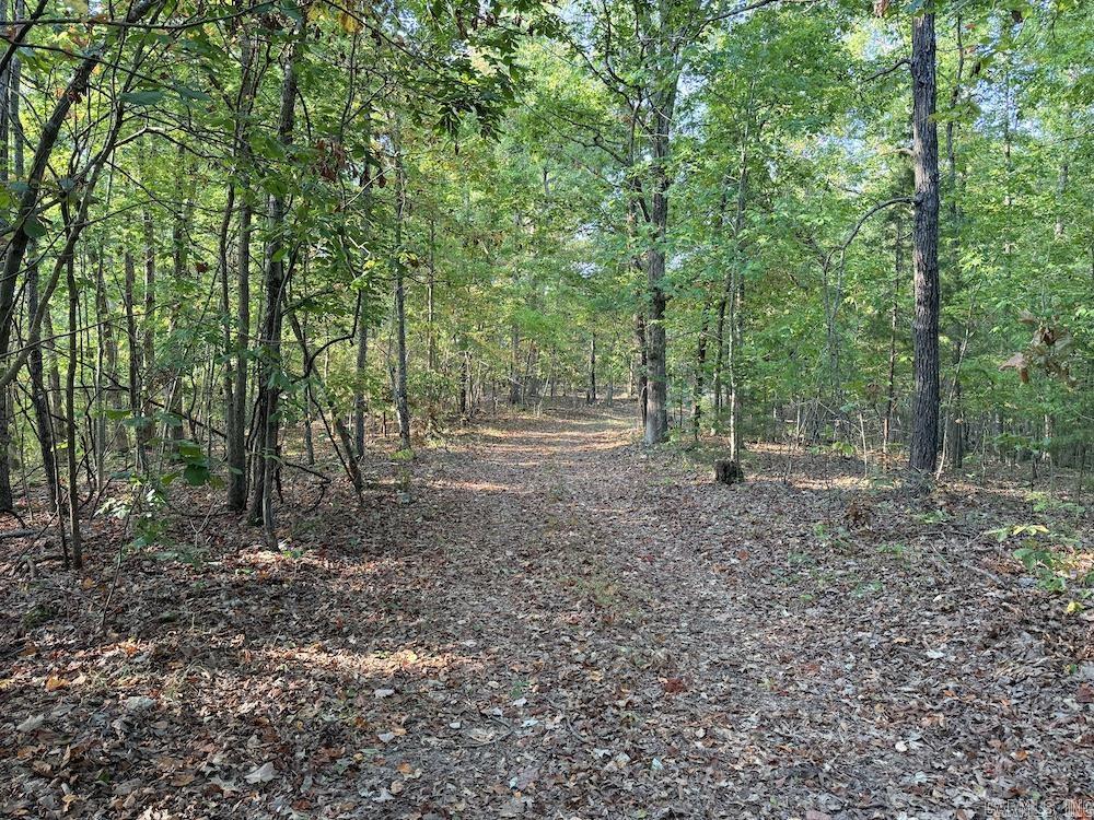  Fawn Drive  Harriet, AR